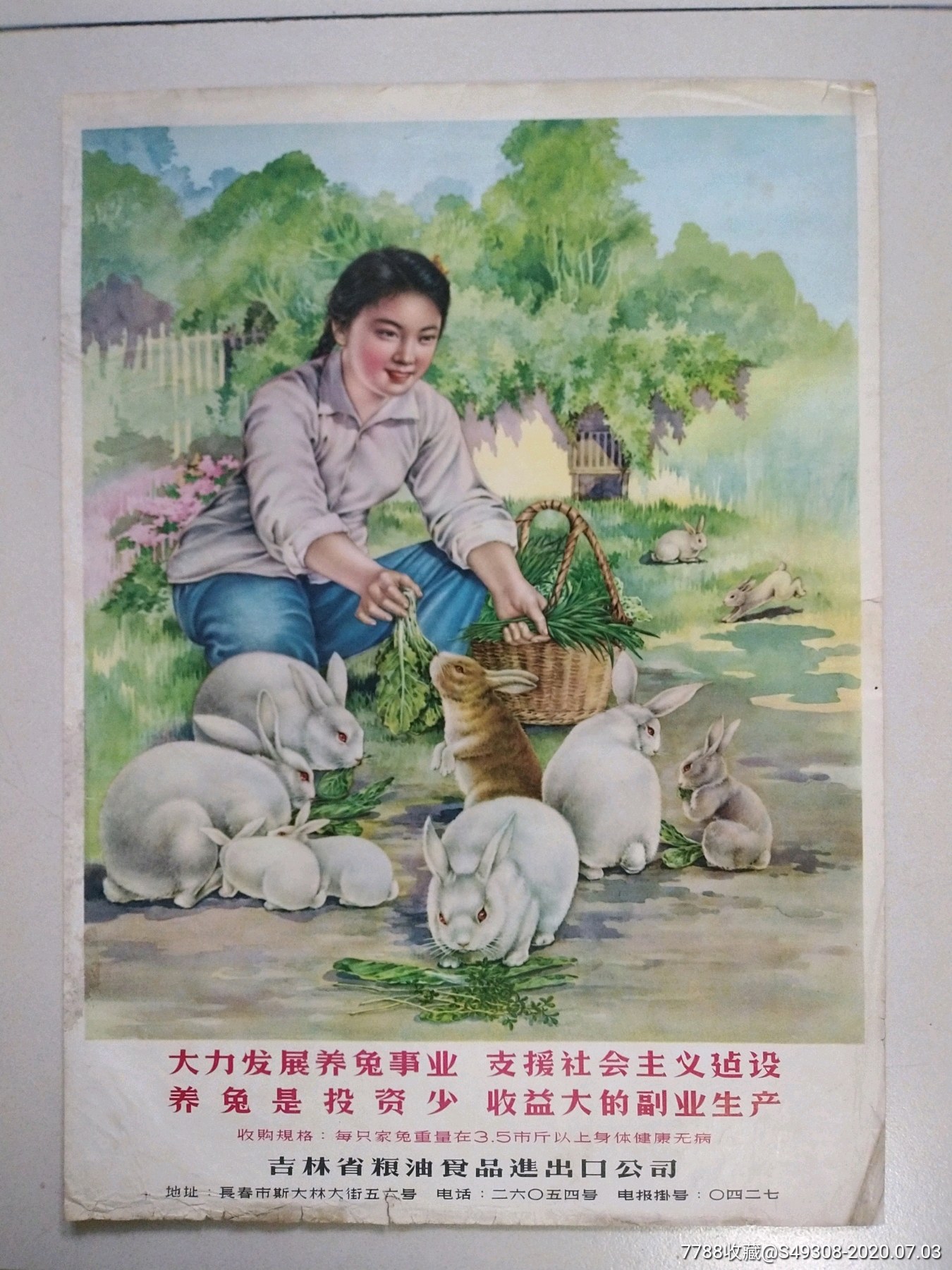 50年代经典宣传画4开!少见品种