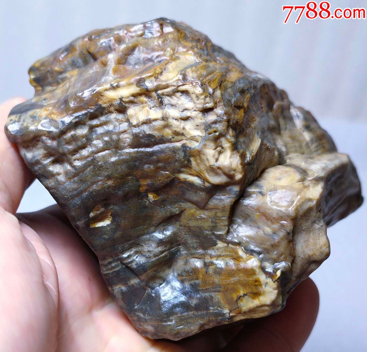 3926新疆戈壁硅化木摆件643克