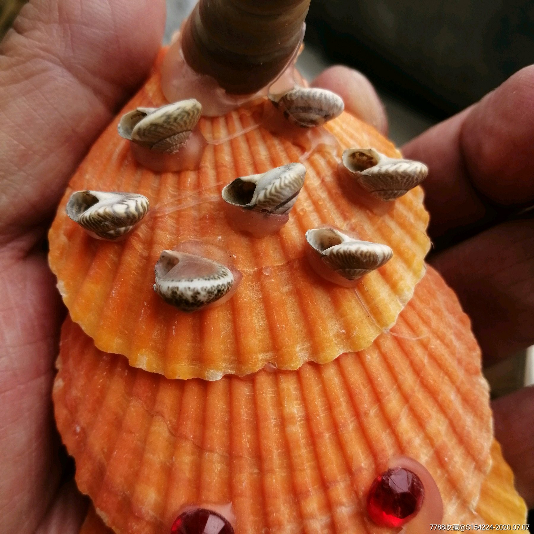 制作精美贝壳摆件工艺品孔雀