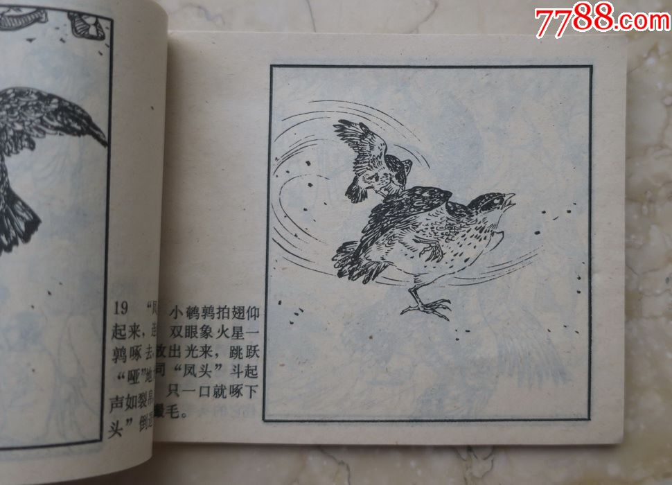 黃野人鬥鵪鶉(羅浮山風物傳說之三),庫存書,嶺南美術1987年一版一印