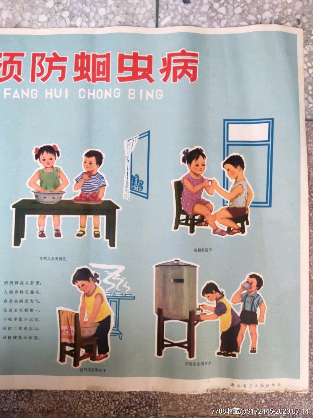 积极预防蛔虫病(挂图)