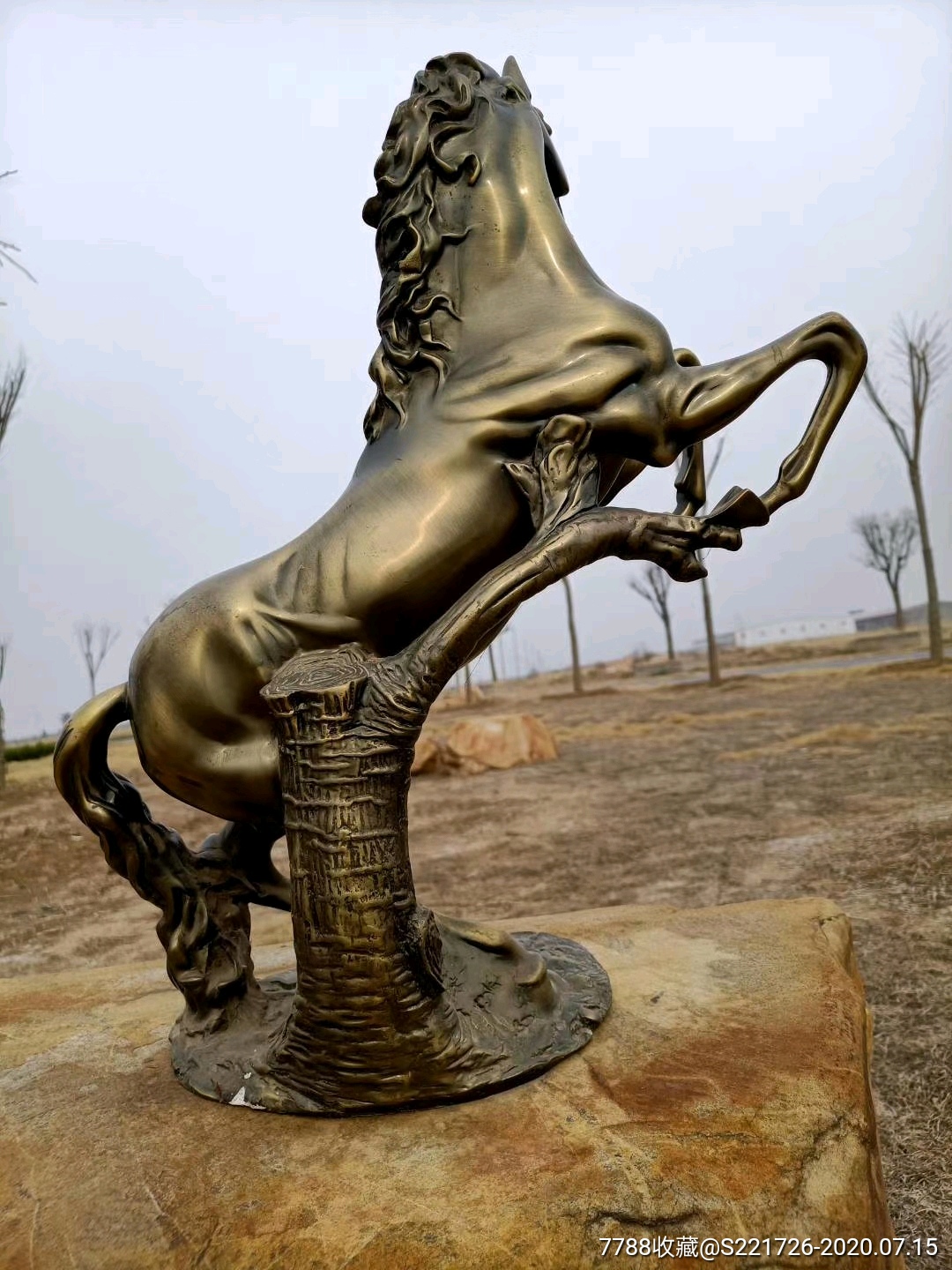 焦作铜马雕像图片