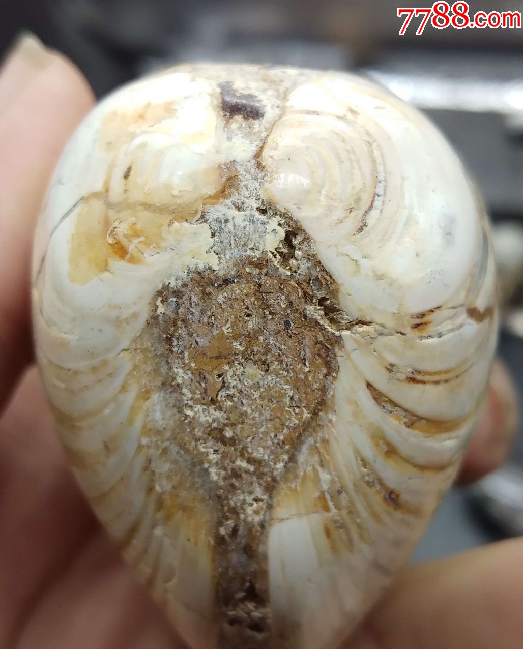  !doctype html>  html lang="en">  head>      meta charset="