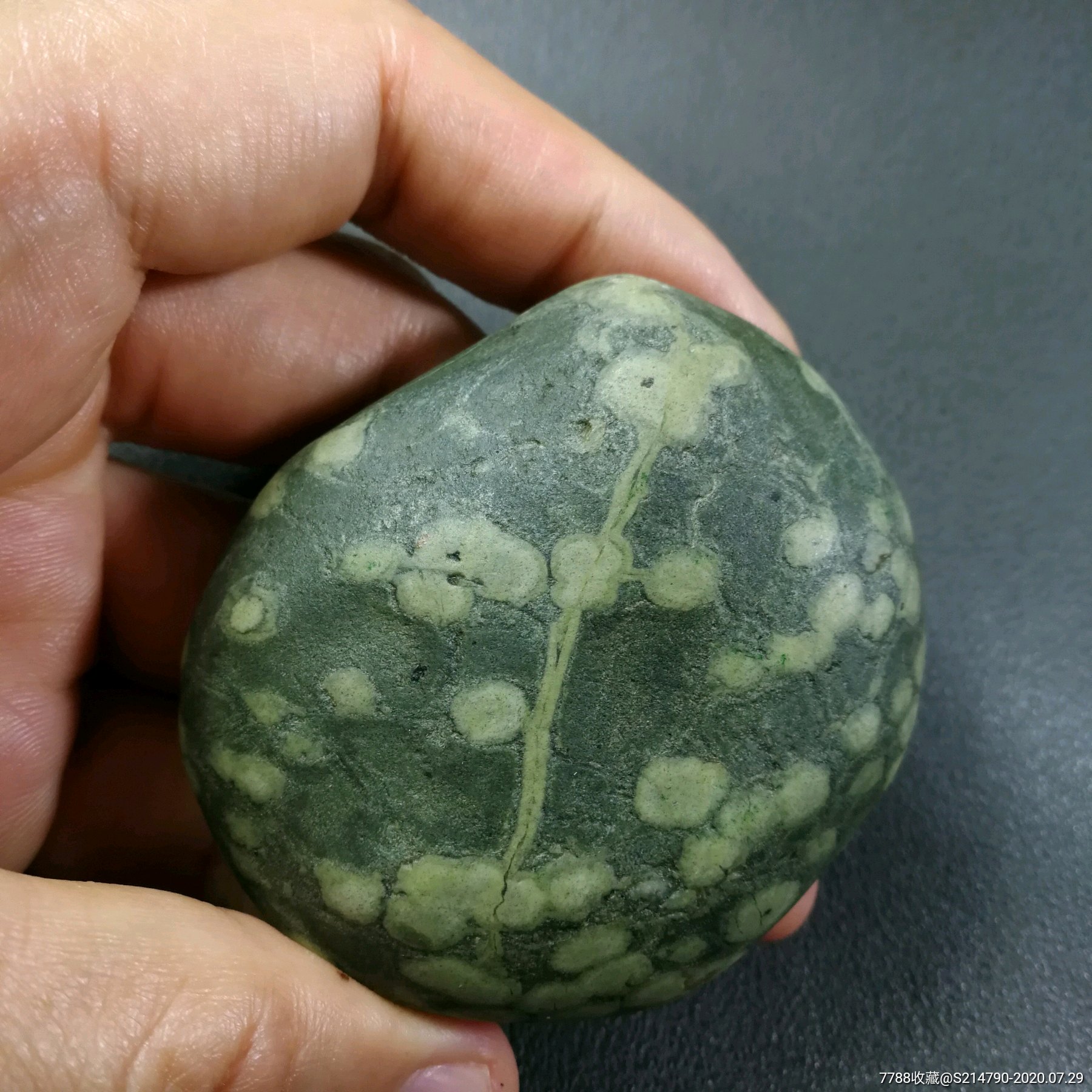 长江石绿泥石有一棵树图案