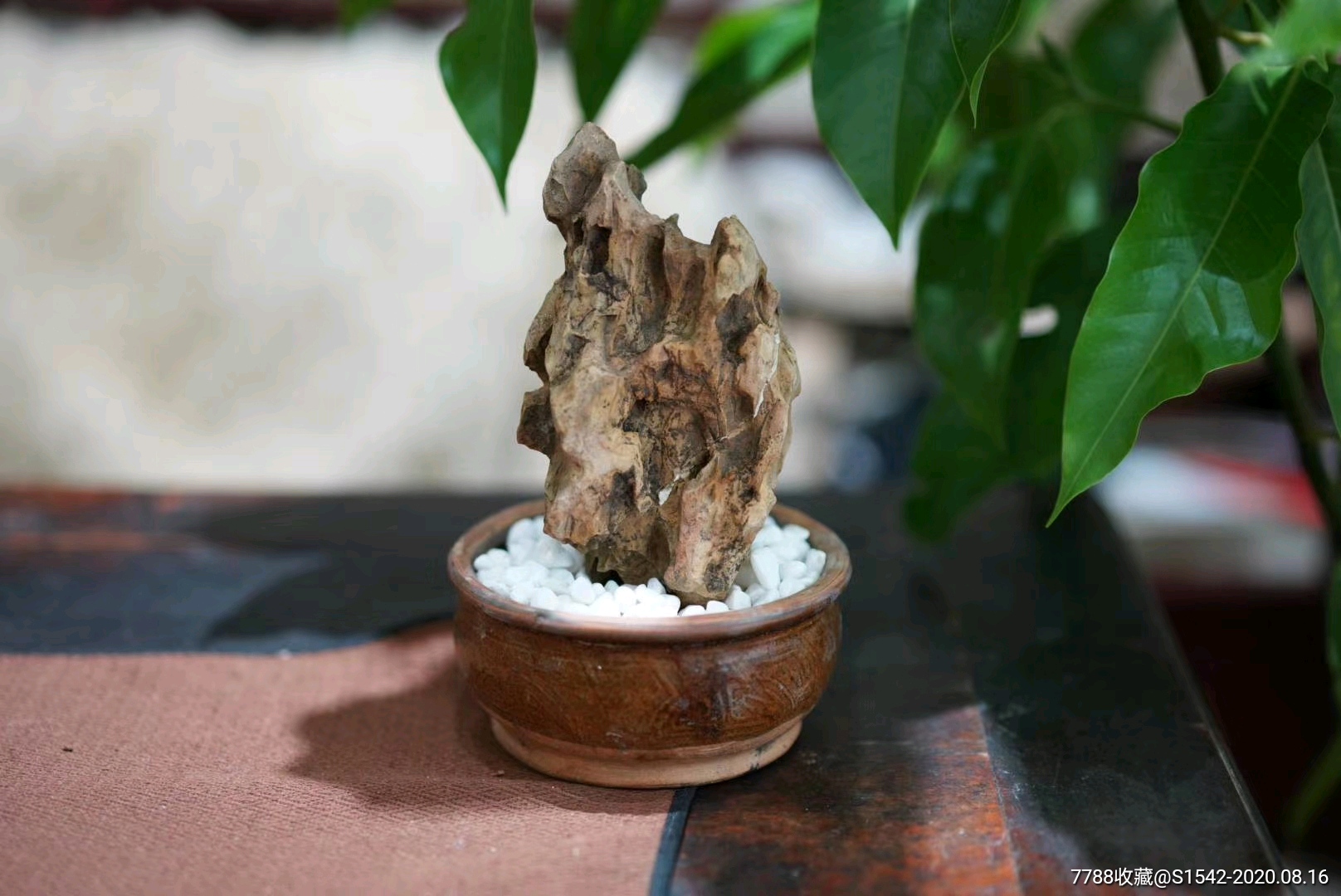 清代鸡骨峰昆石盆景一盆