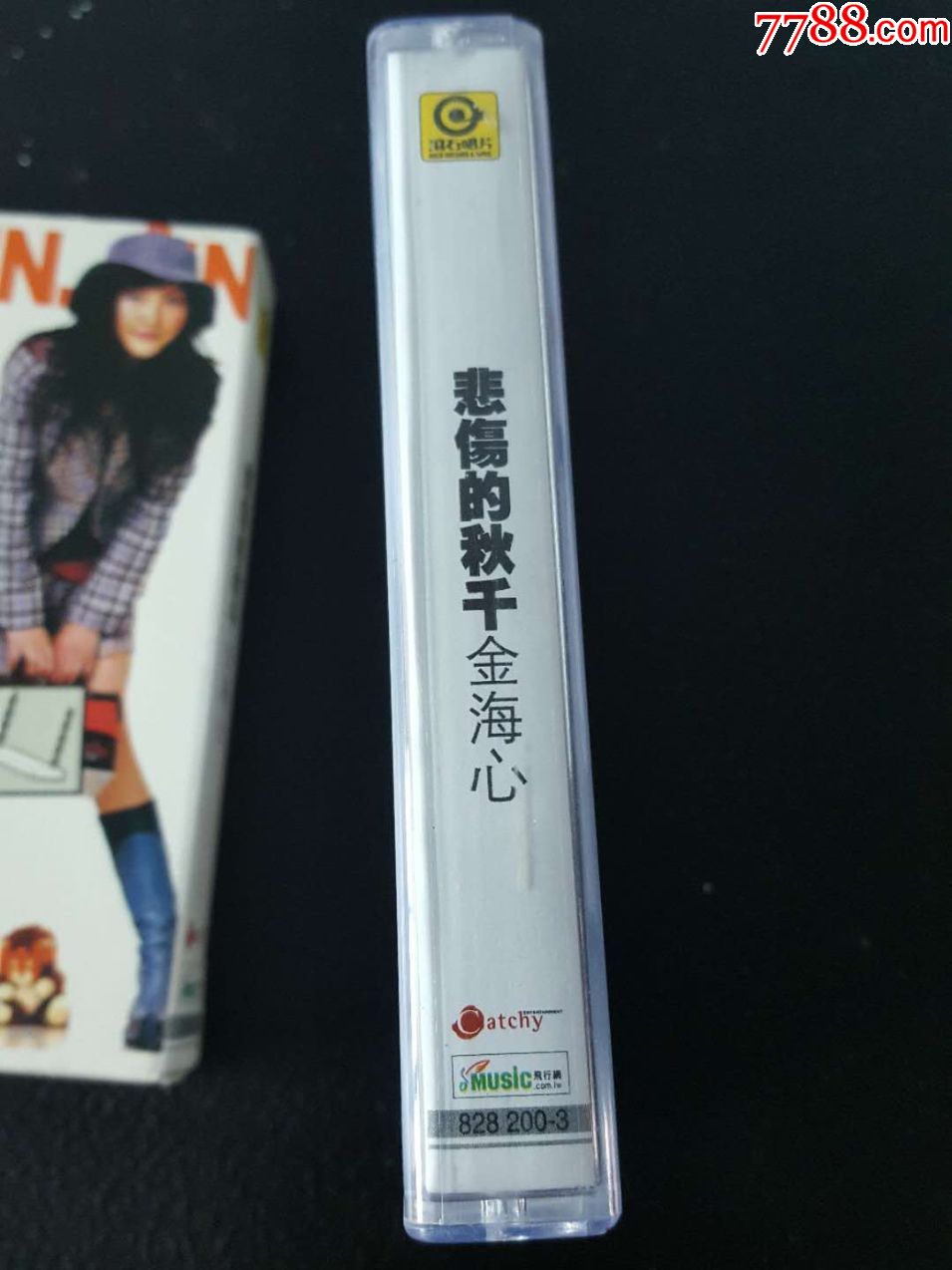 金海心悲伤的秋千