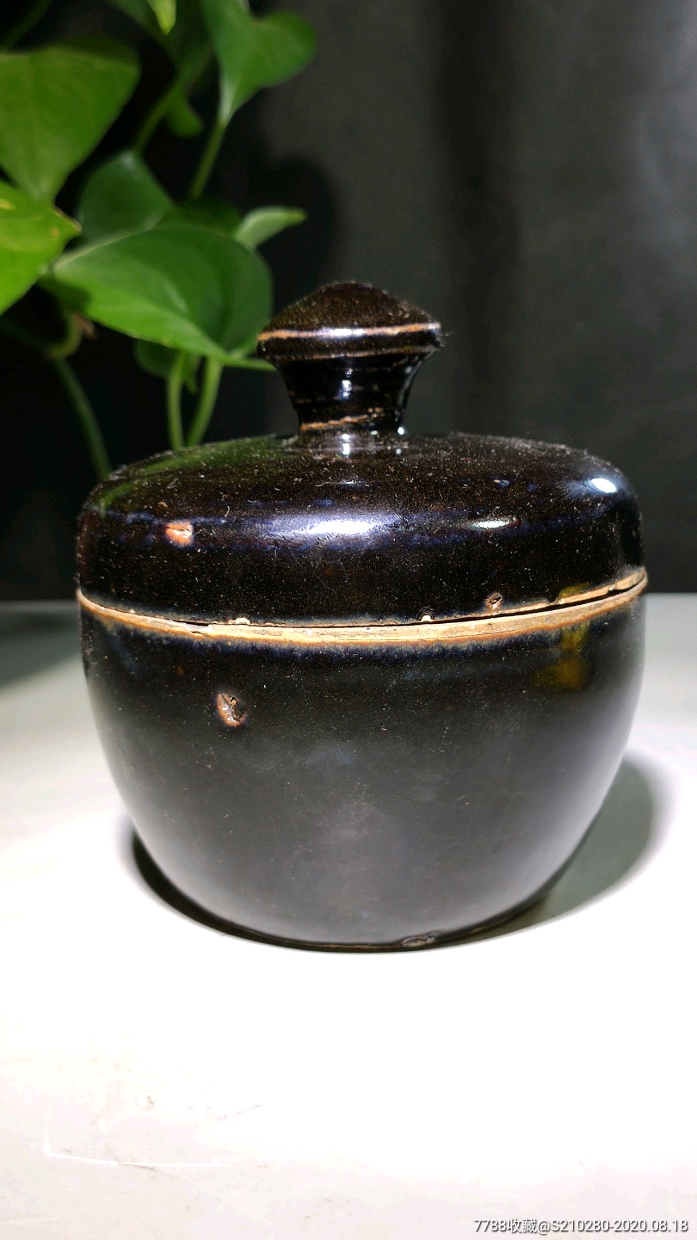 黑釉小盖罐