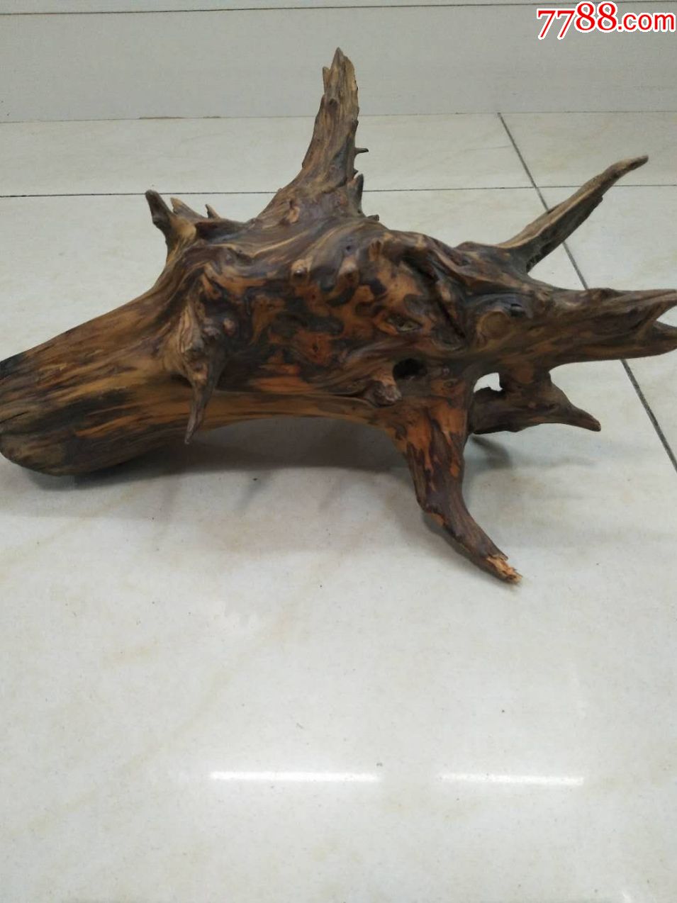 老柏木树根,已经只剩下树心部分,造型奇特,可做摆件.