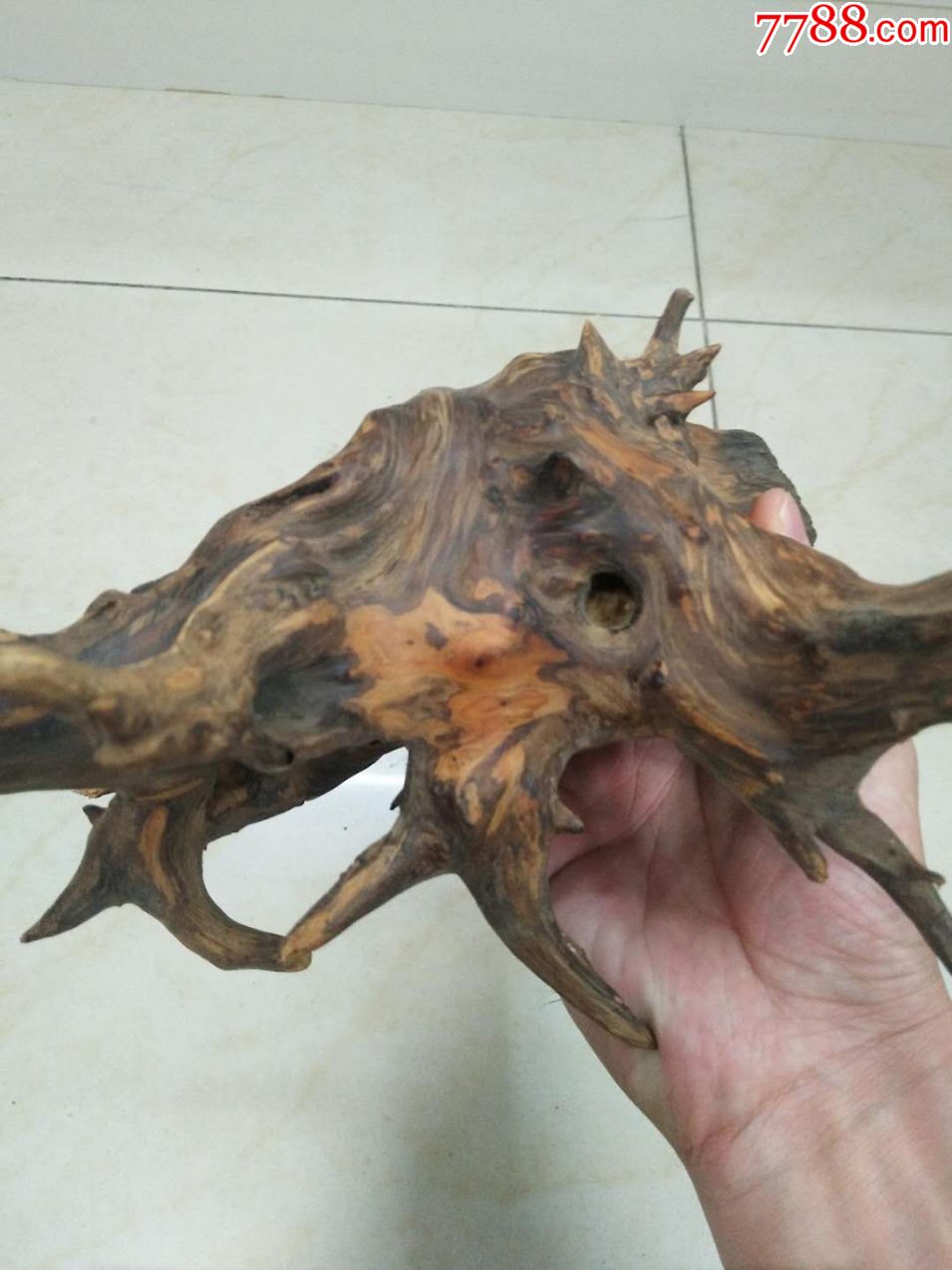 老柏木树根,已经只剩下树心部分,造型奇特,可做摆件.