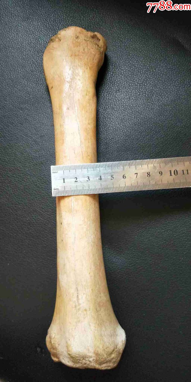 骨头棒手把件大棒骨