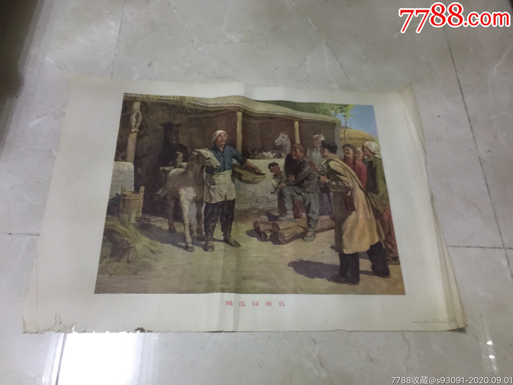 模范饲养员拍前看简介