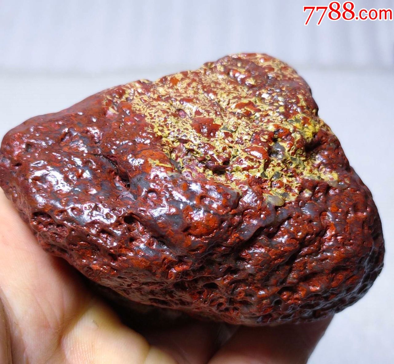 4125新疆哈密红花伊丁天宝石陨石陨铁229克
