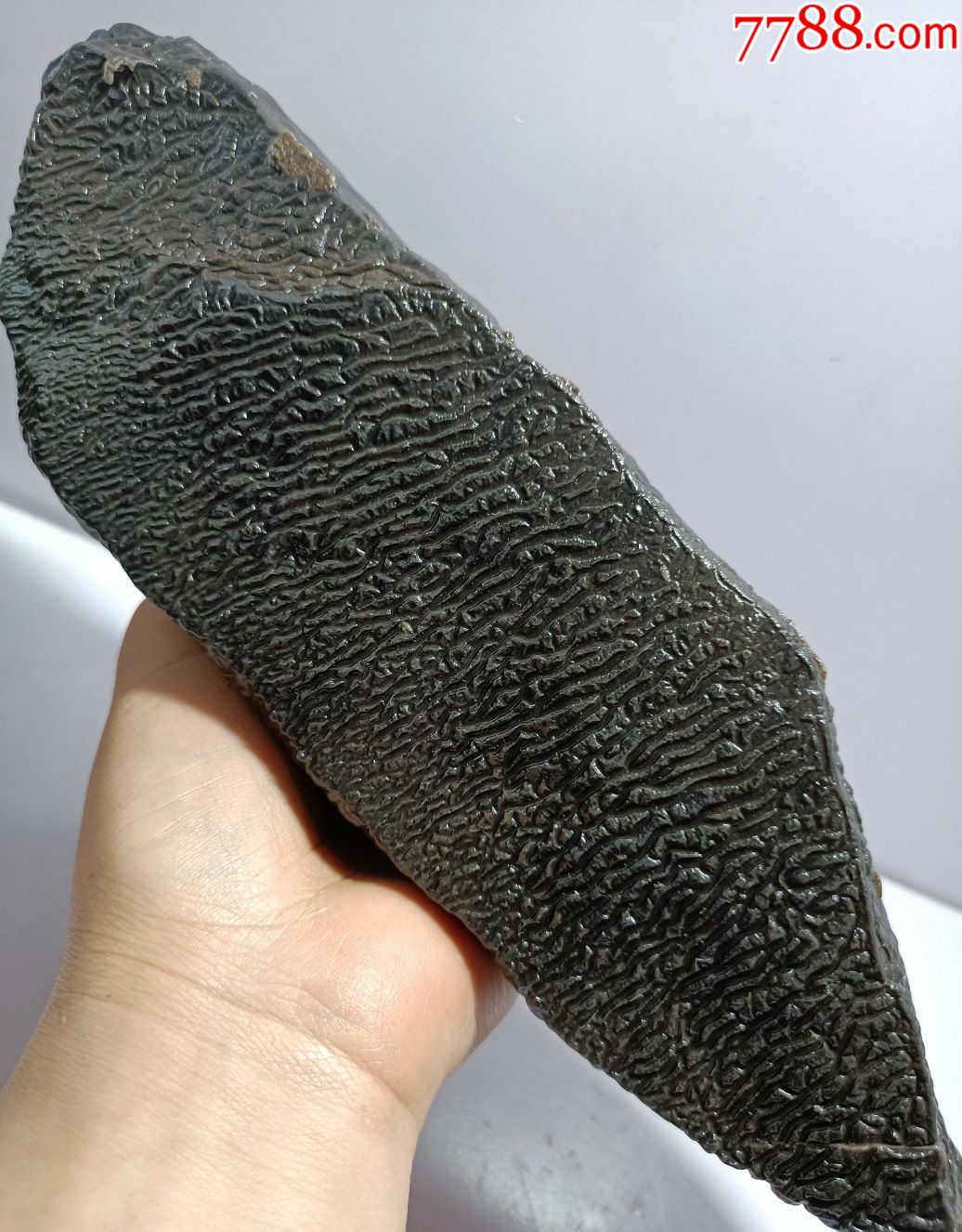 3872新疆哈密纹路泥石1680克