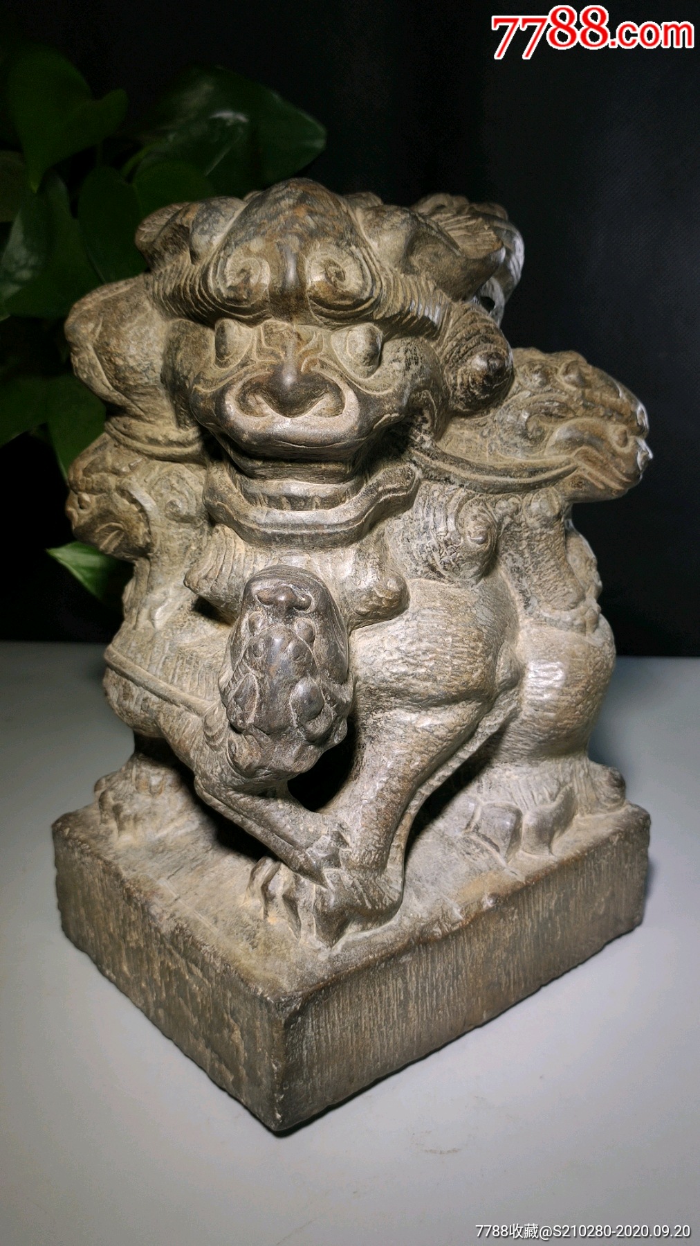 五世同堂石狮子