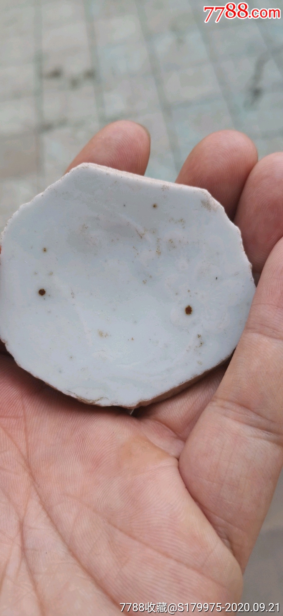 元代枢府瓷月影梅瓷片