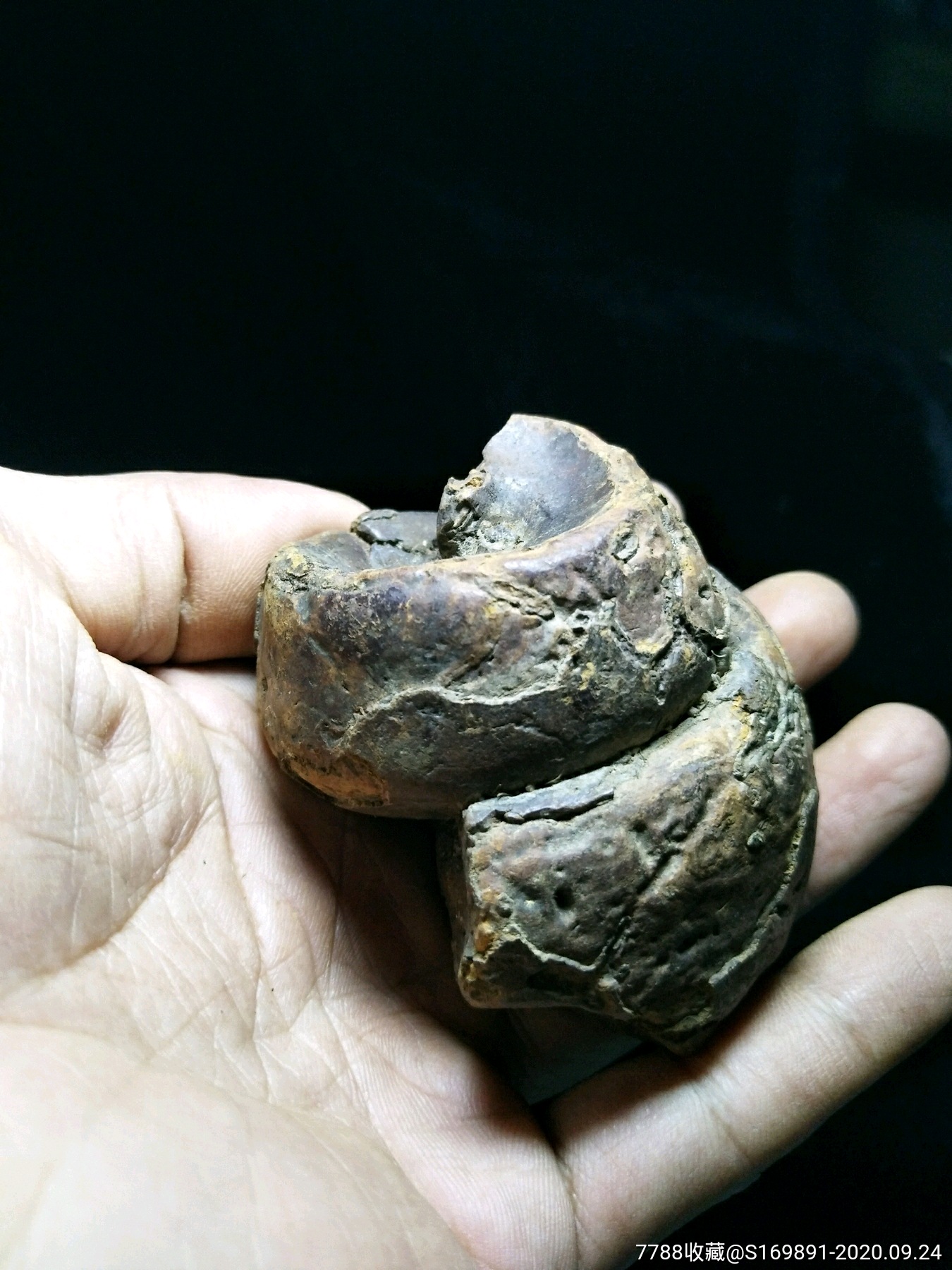 螺化石,多拍,运费合并