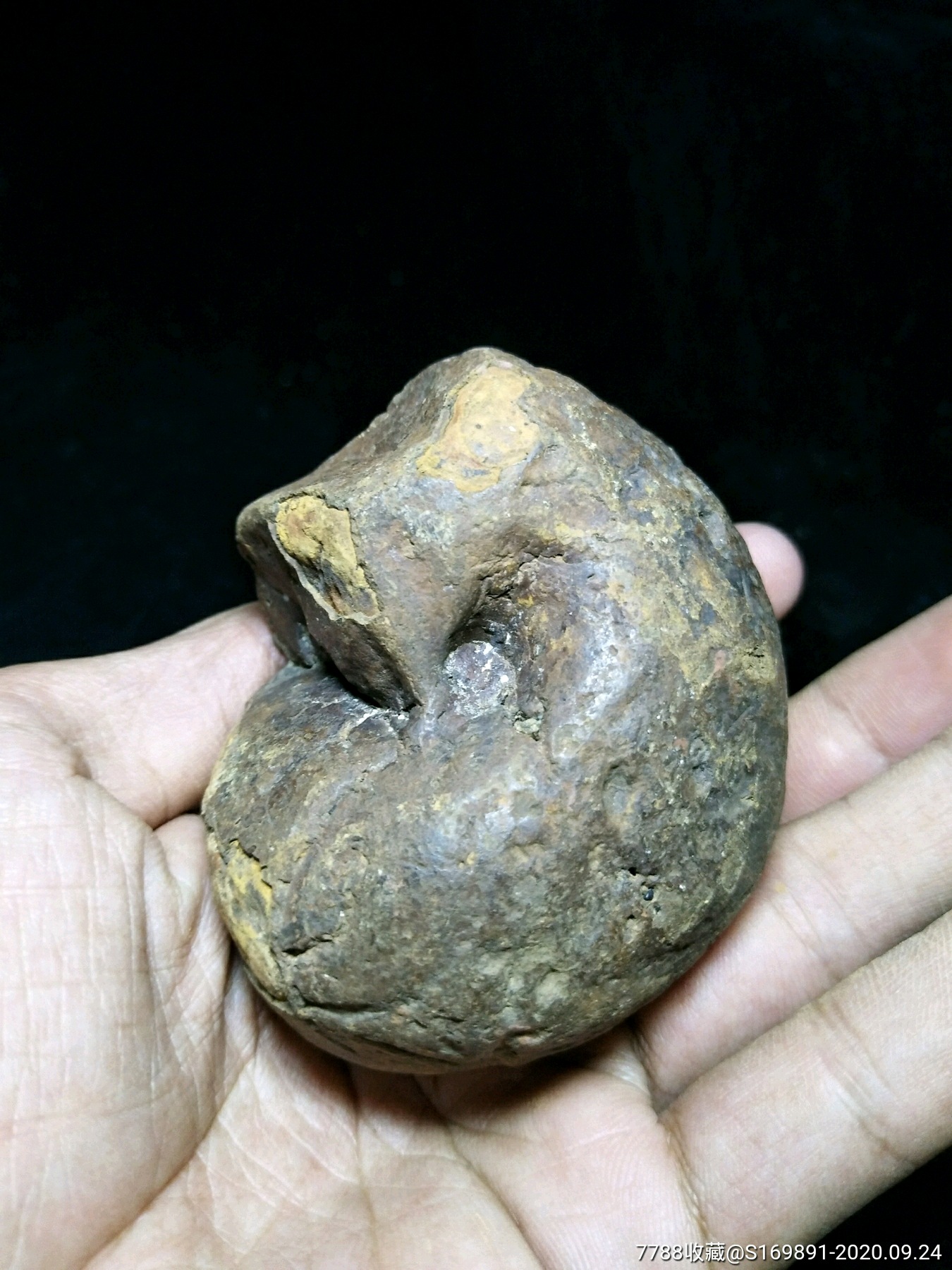 螺化石,多拍,运费合并