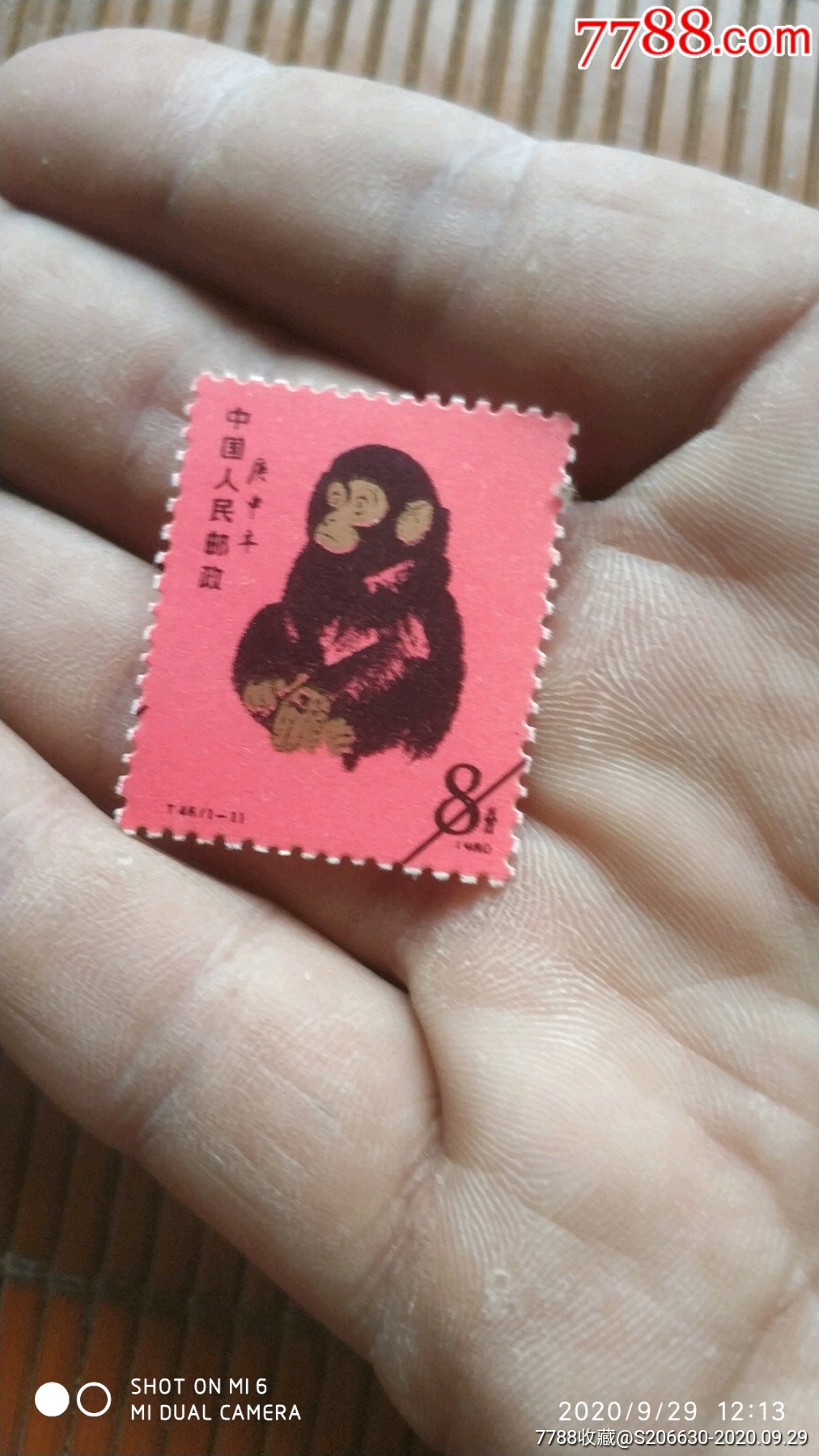 生肖邮票猴票
