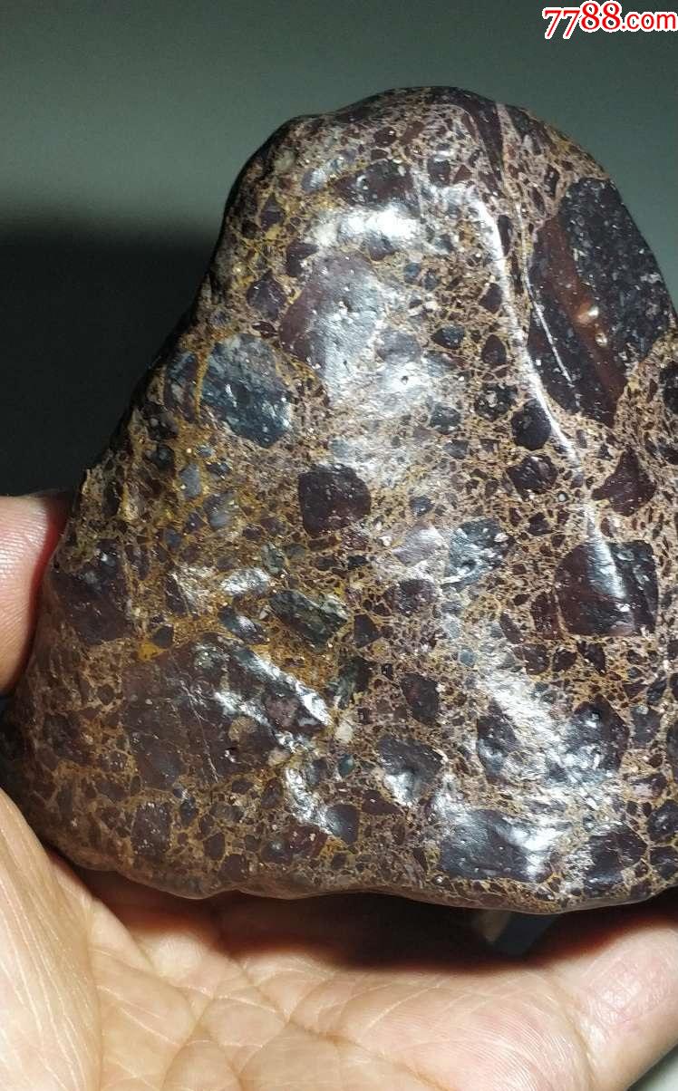 4218新疆哈密棕色大晶格花伊丁陨石陨铁507克