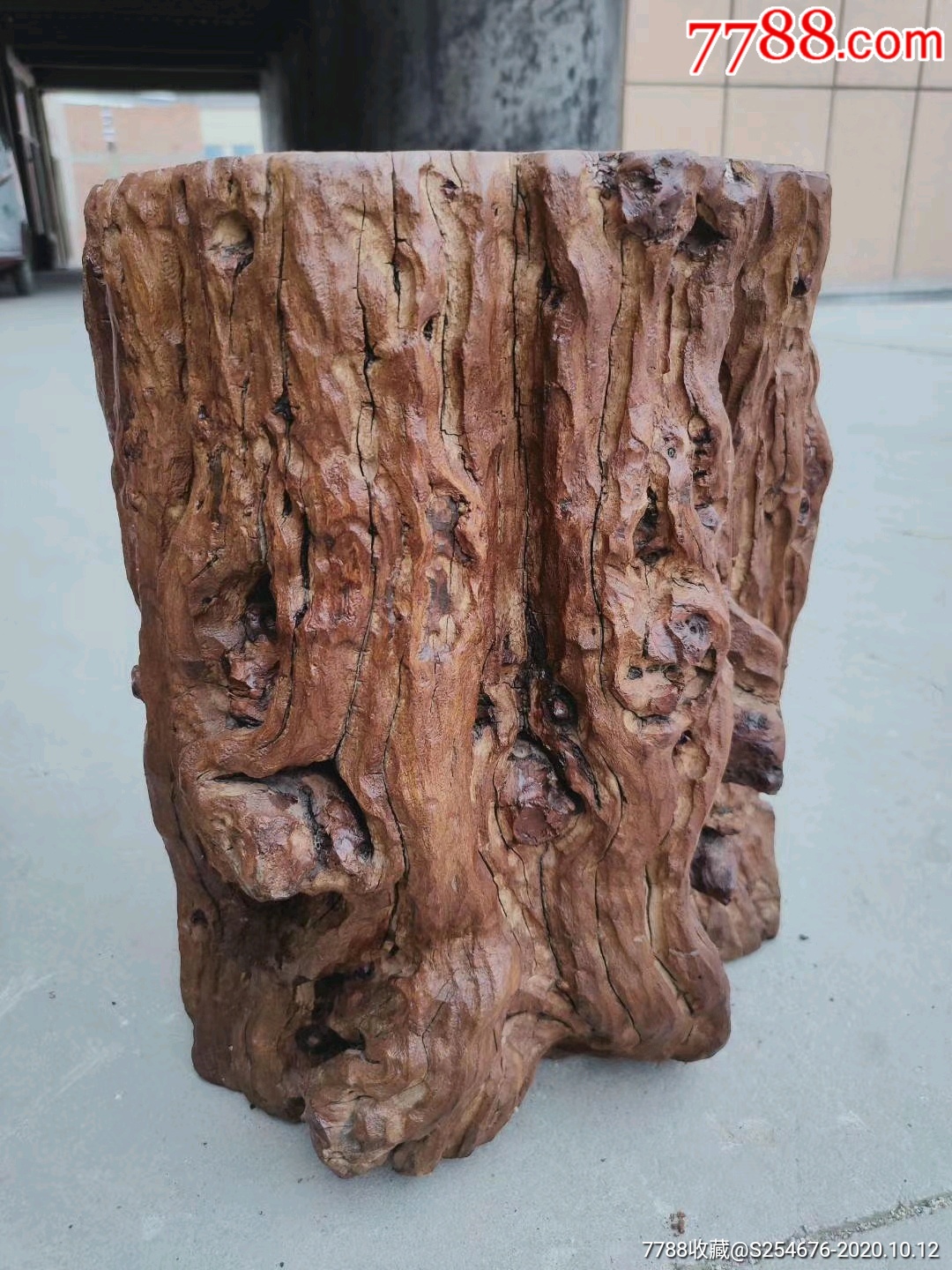 百年枣木墩一对,成色如图,纹理自然风化,包浆浓厚,花园茶社首选,正常