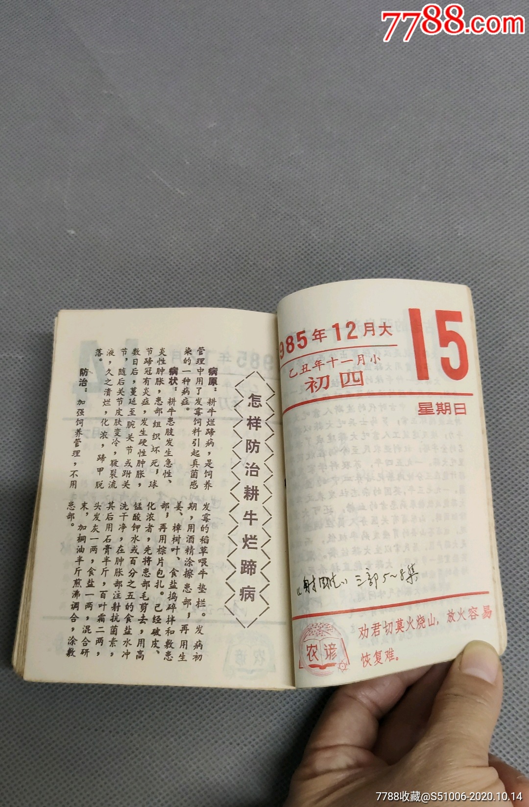 1985年日历