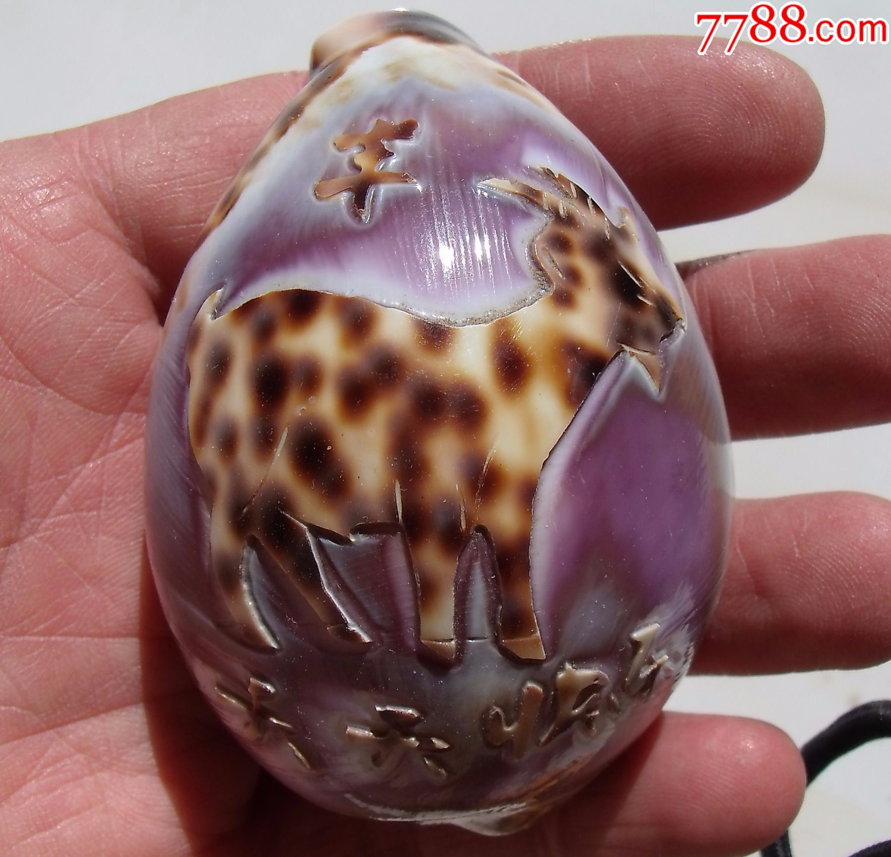 老宝贝壳雕12生肖---羊_贝壳摆件_诚信眼光朋友古旧店【7788收藏