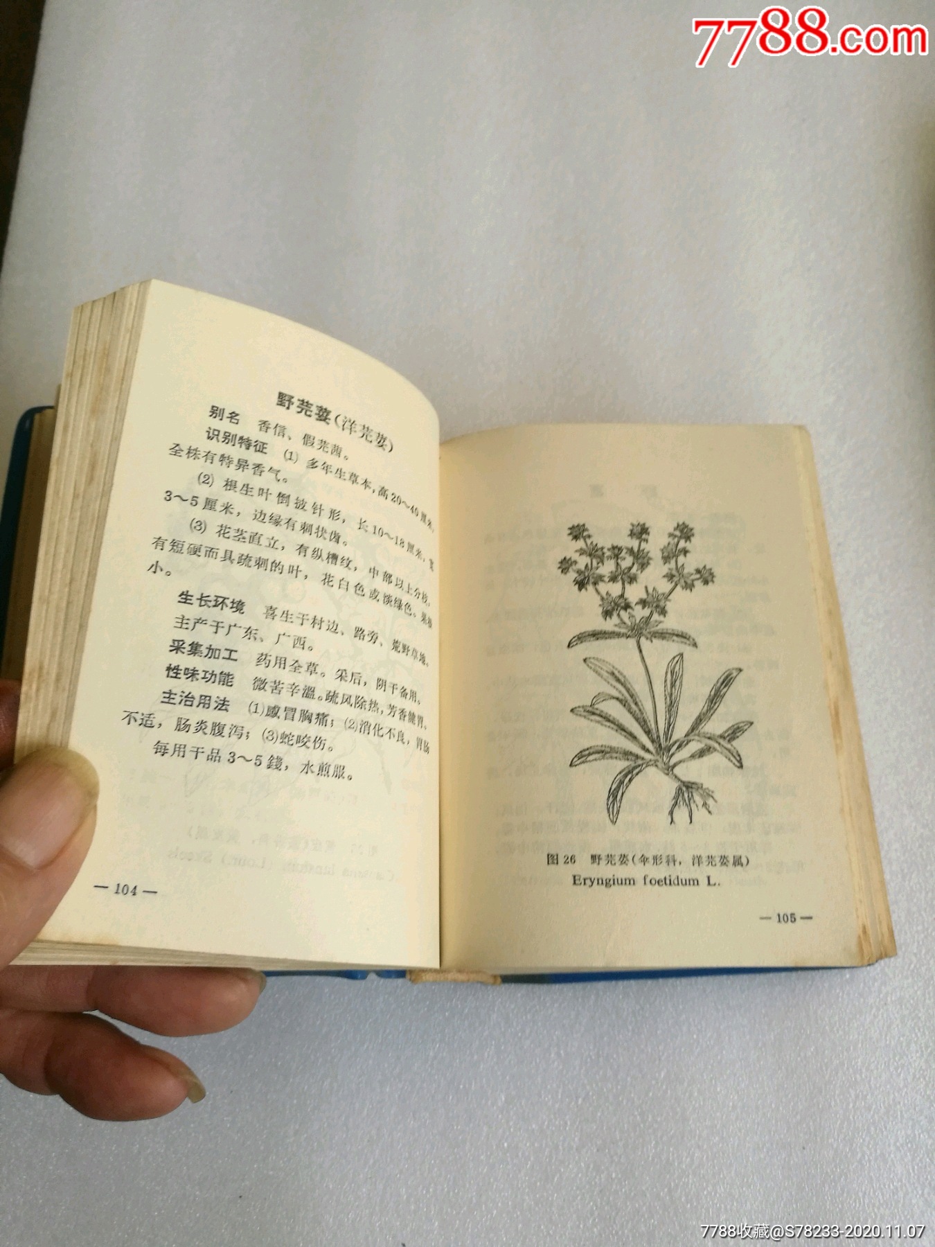 常用中草药手册(70年第三次印刷)