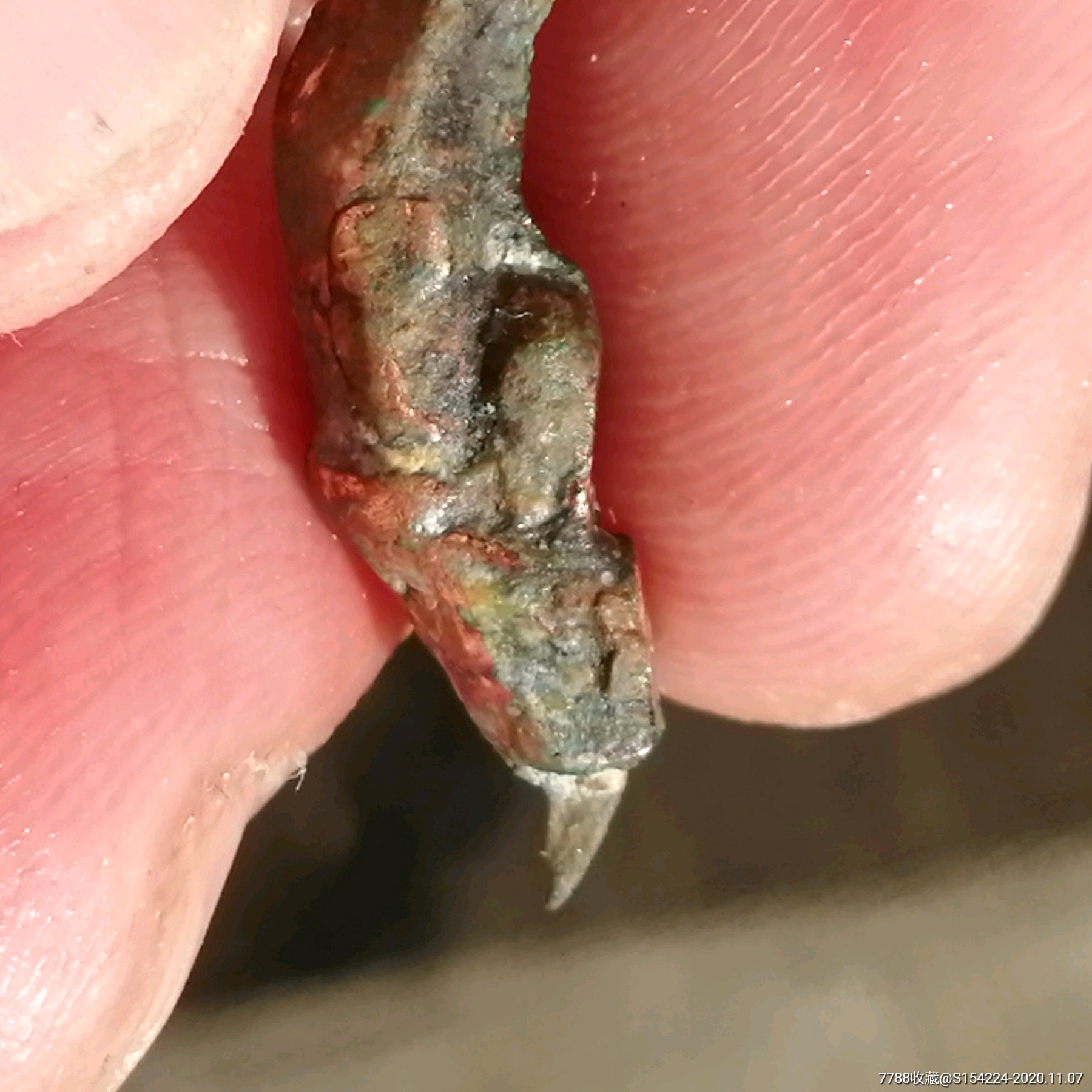 鱼化龙!唐代青铜摩羯鱼