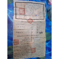 福建省邵武卖田契约(au24750137)_7788收藏__收藏热线