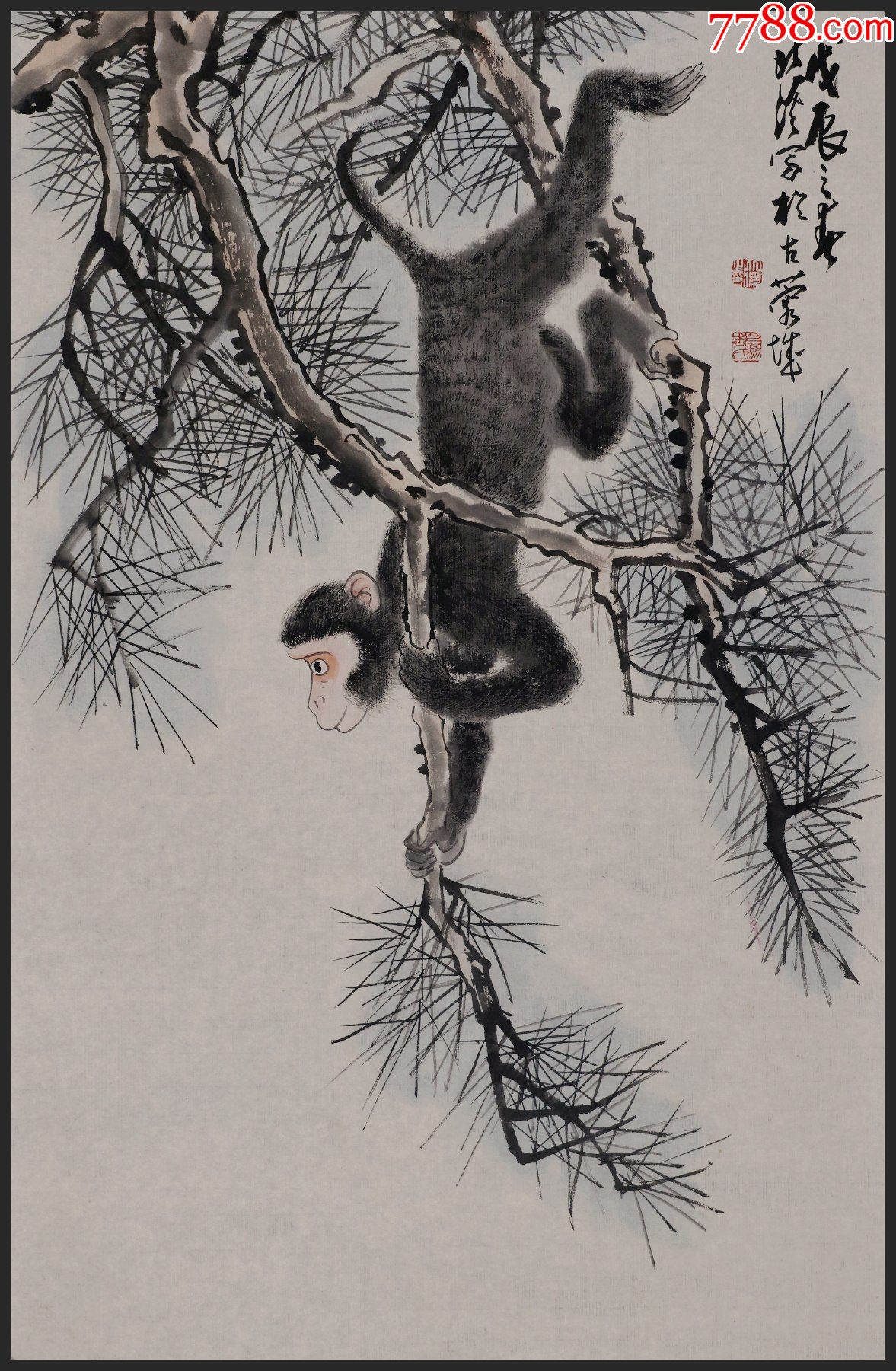 【周北溪】四川省文史馆馆员,猴子_花鸟国画原作_第1张