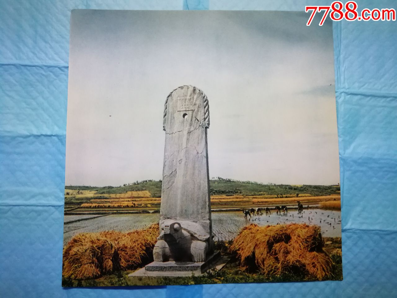 梁文帝萧顺之第十一子--忠武王萧憺碑