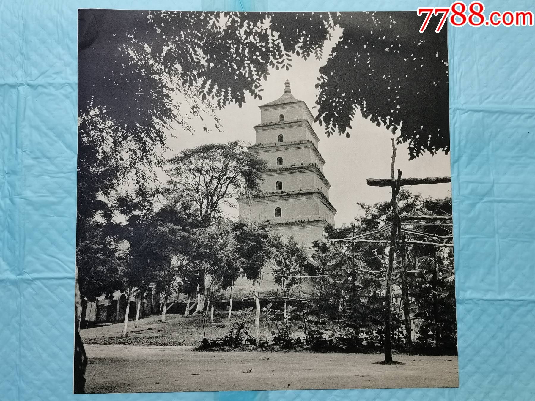 1960年书页照片-西安慈恩寺大雁塔;西安附近黄色的土地