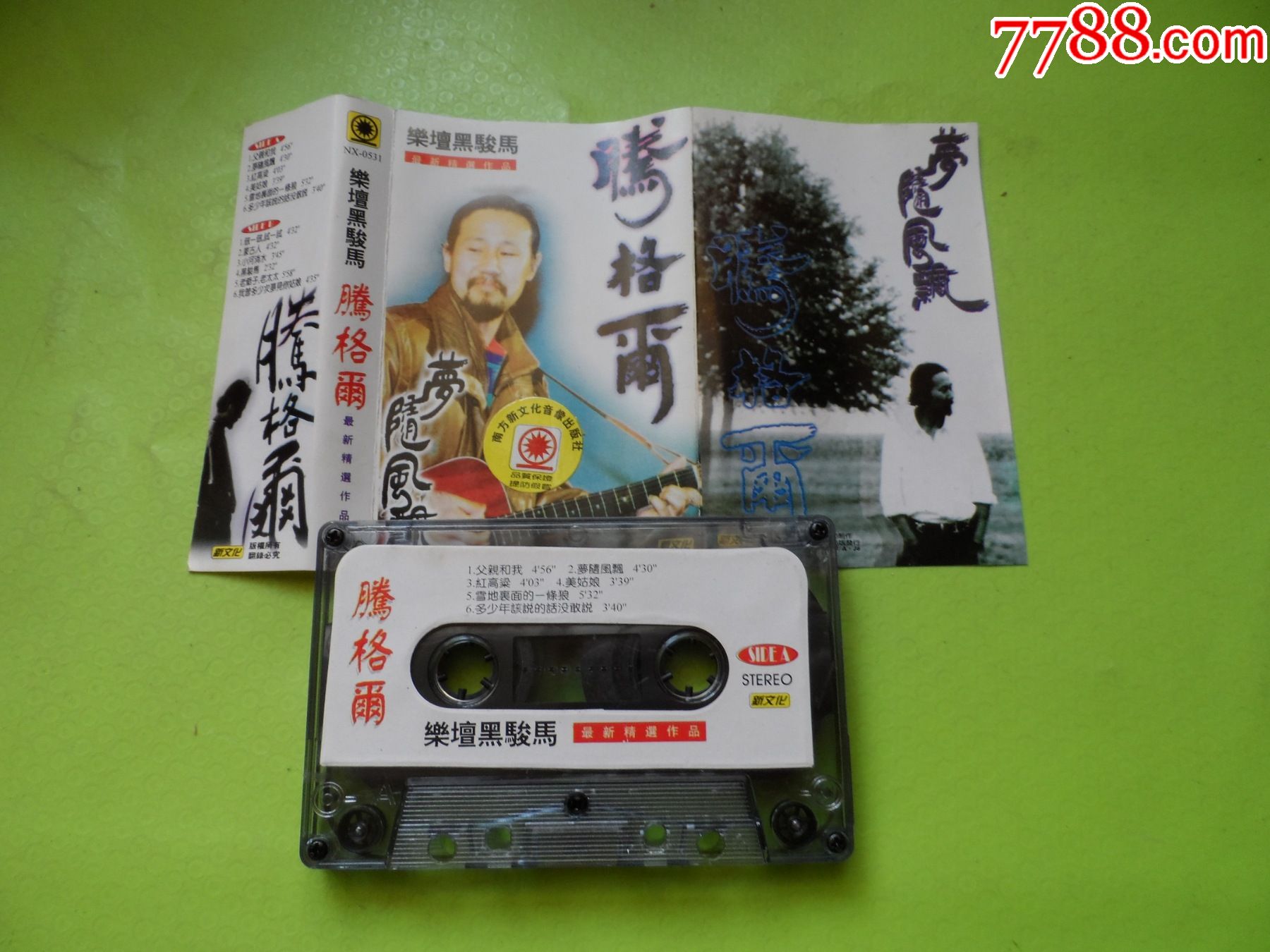 乐坛黑骏马-腾格尔-最新精选作品