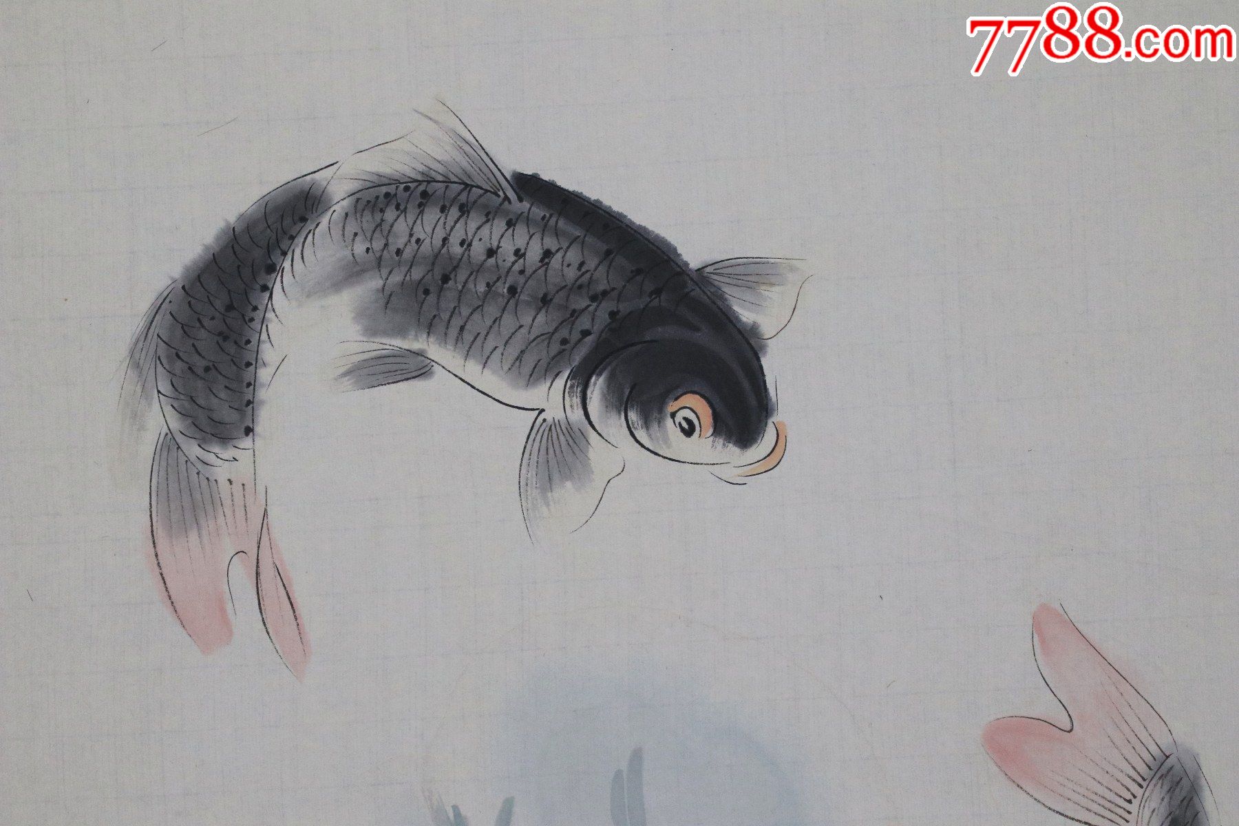【迟明】中国画鲤鱼第一高手,鱼乐图