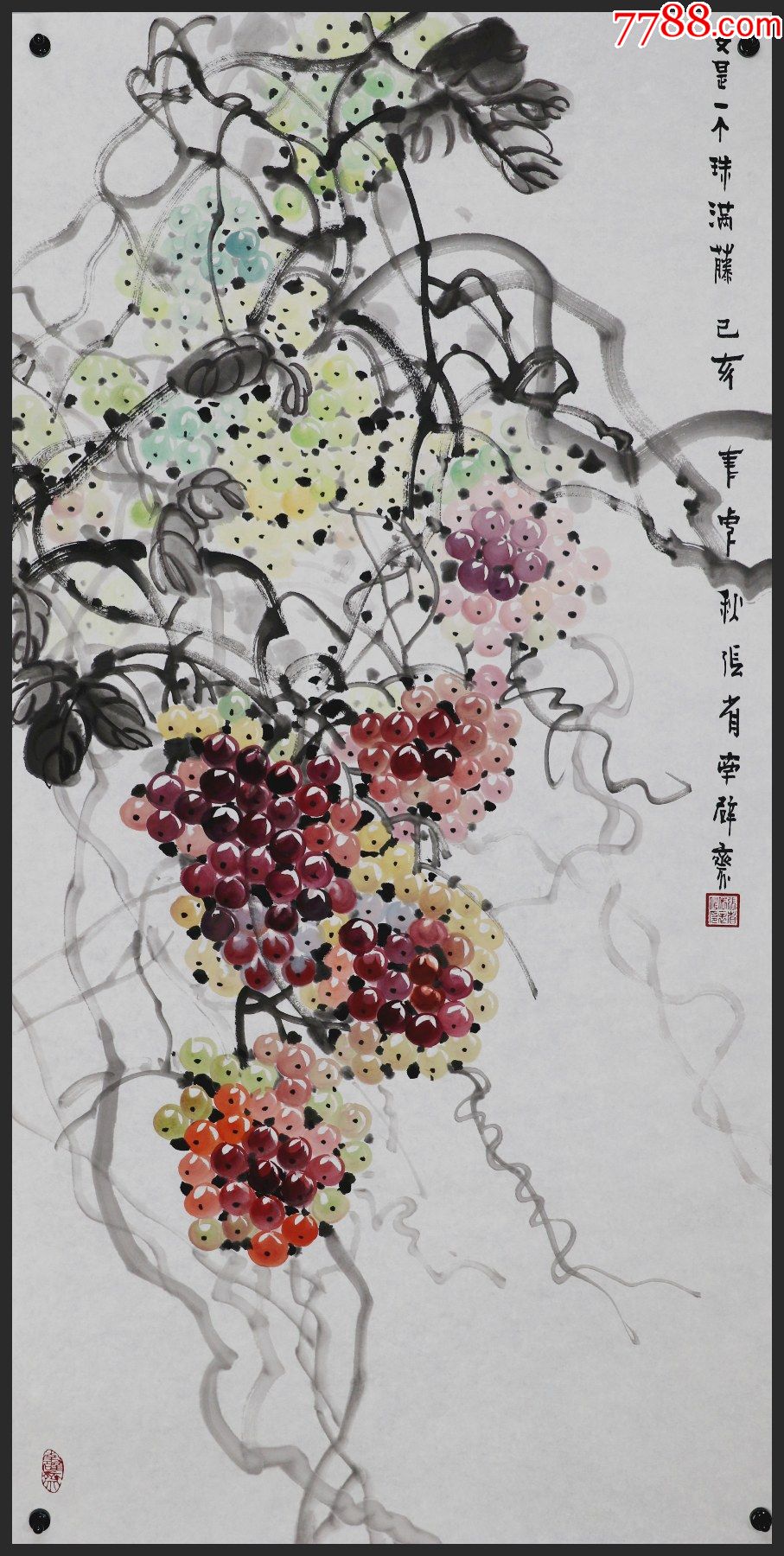 张省江苏人中国美术家协会理事葡萄