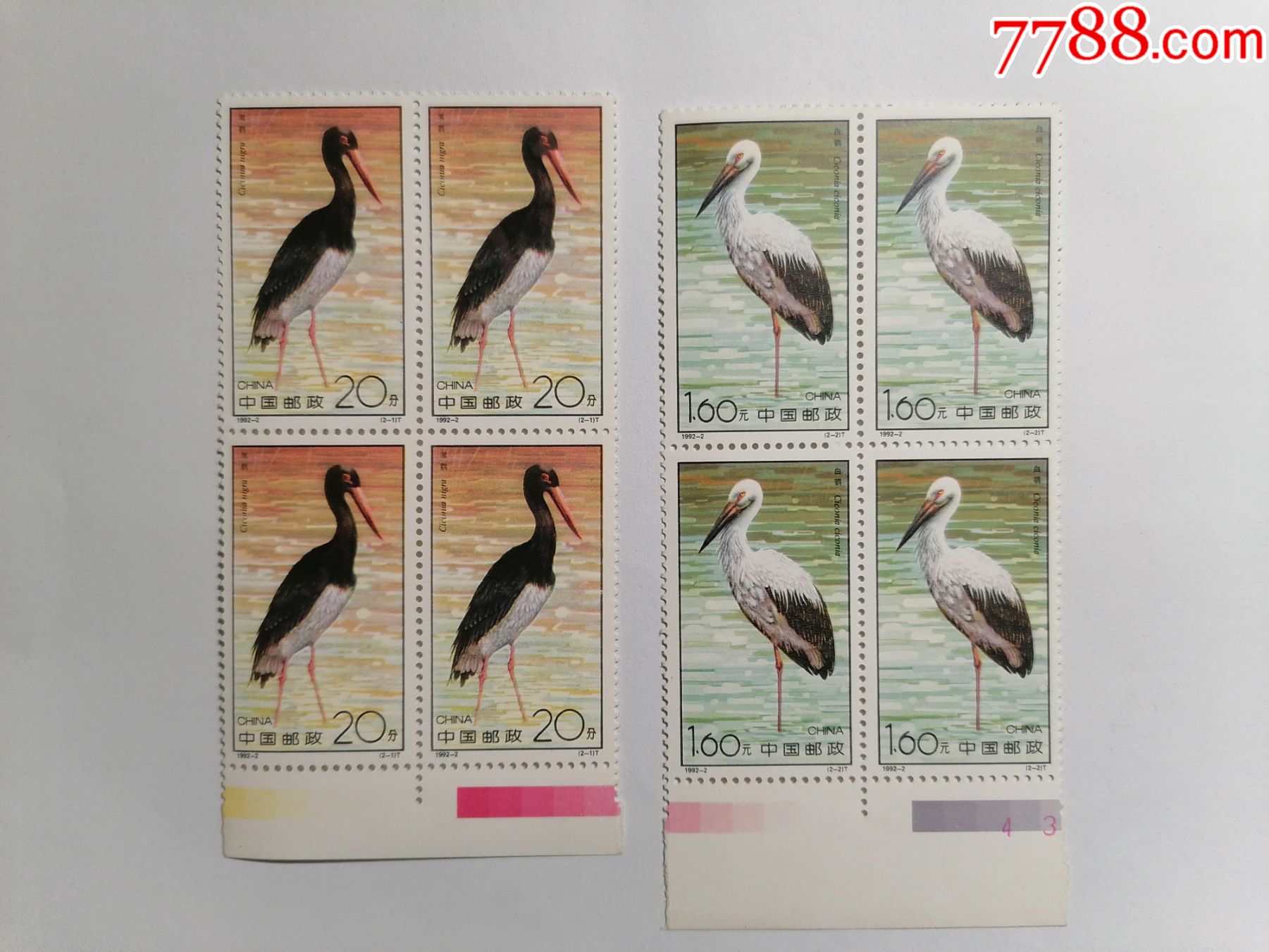 1992-2鹤(黑鹤,白鹤)四方连四套带色边_新中国邮票_第1张_7788老酒