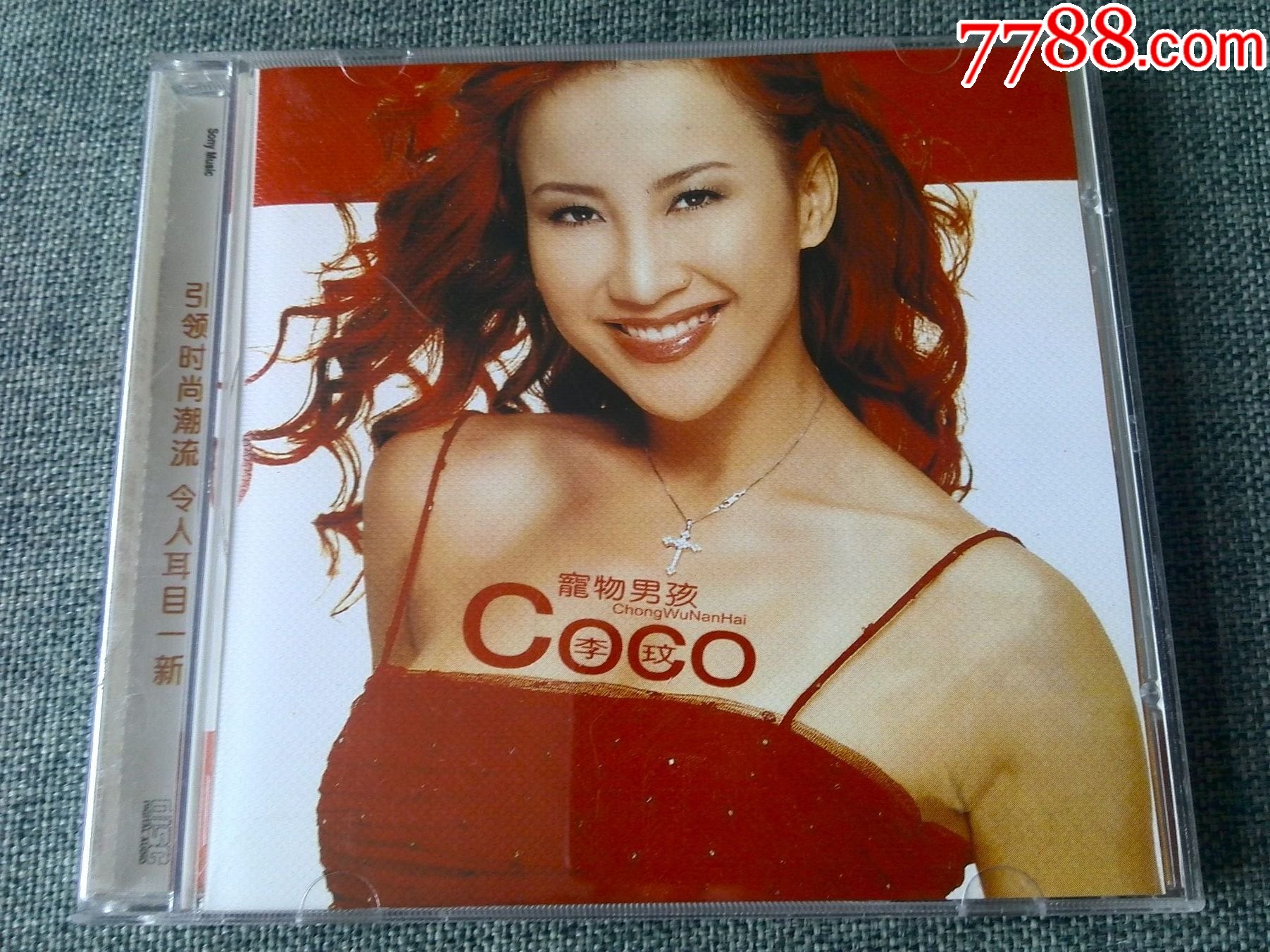 李玟演唱专辑宠物男孩