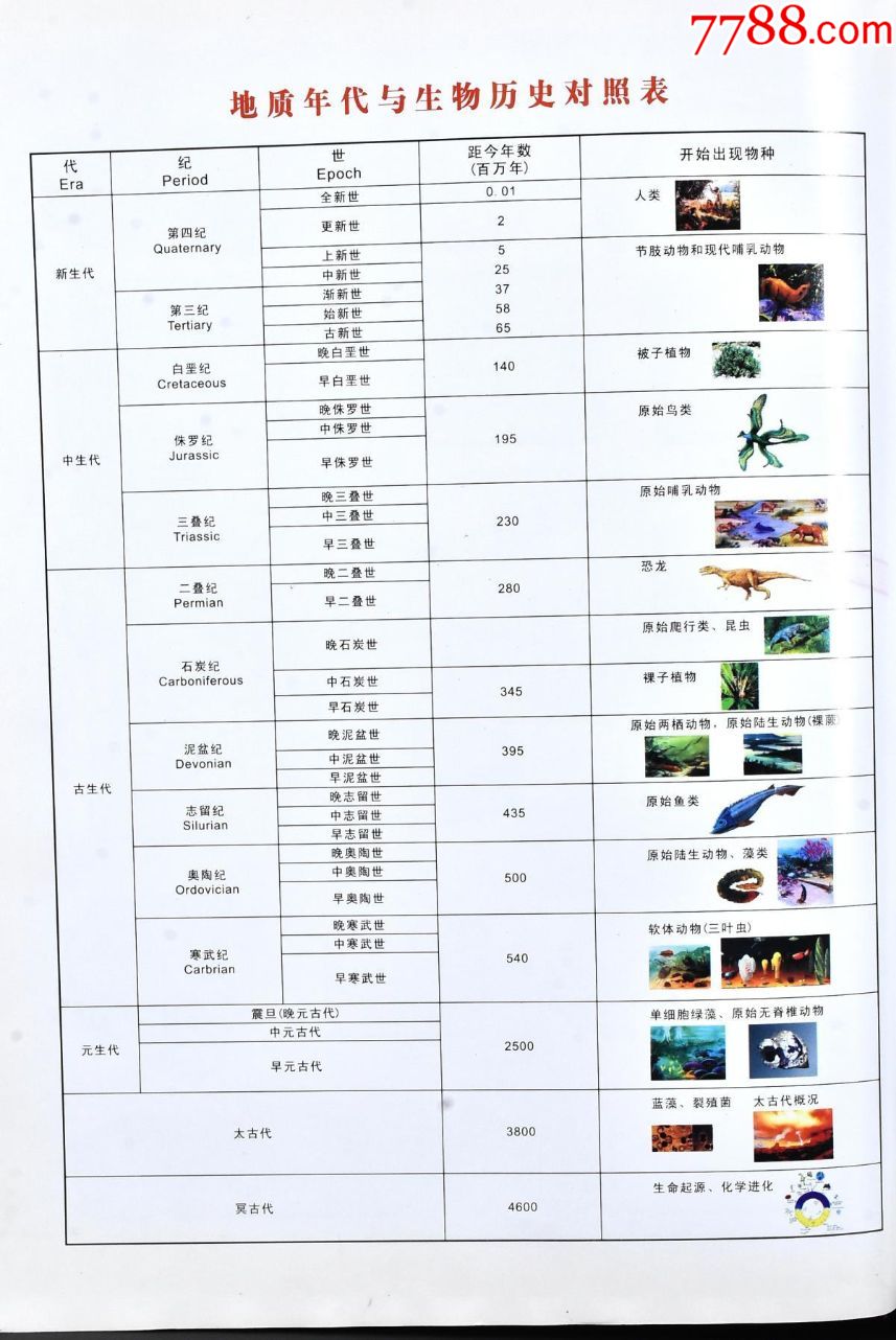 p9214中国辽西古生物化石狼鳍鱼对鱼原盒一对狼鳍鱼化石产于辽宁省朝