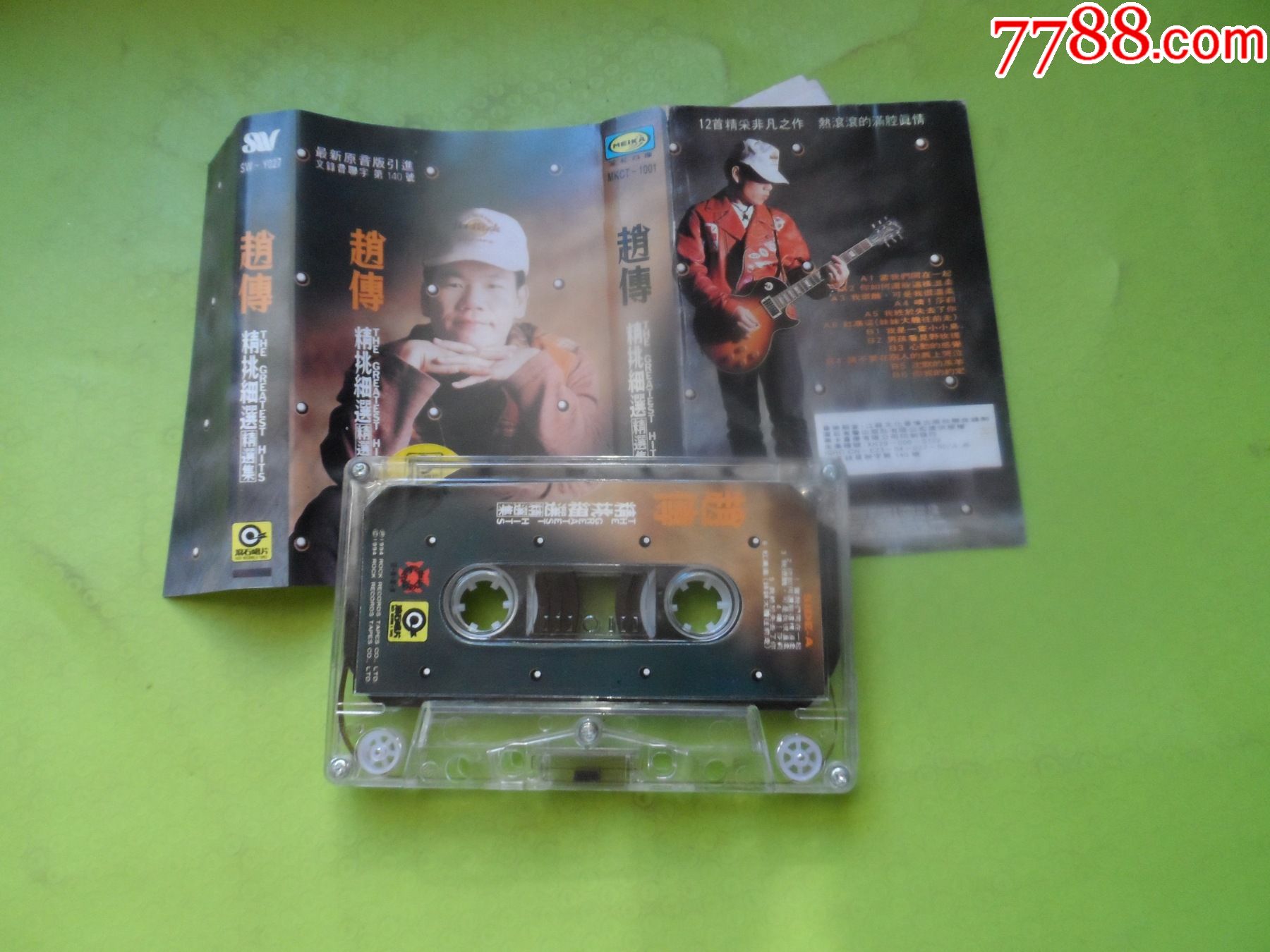 赵传精挑细选精选集