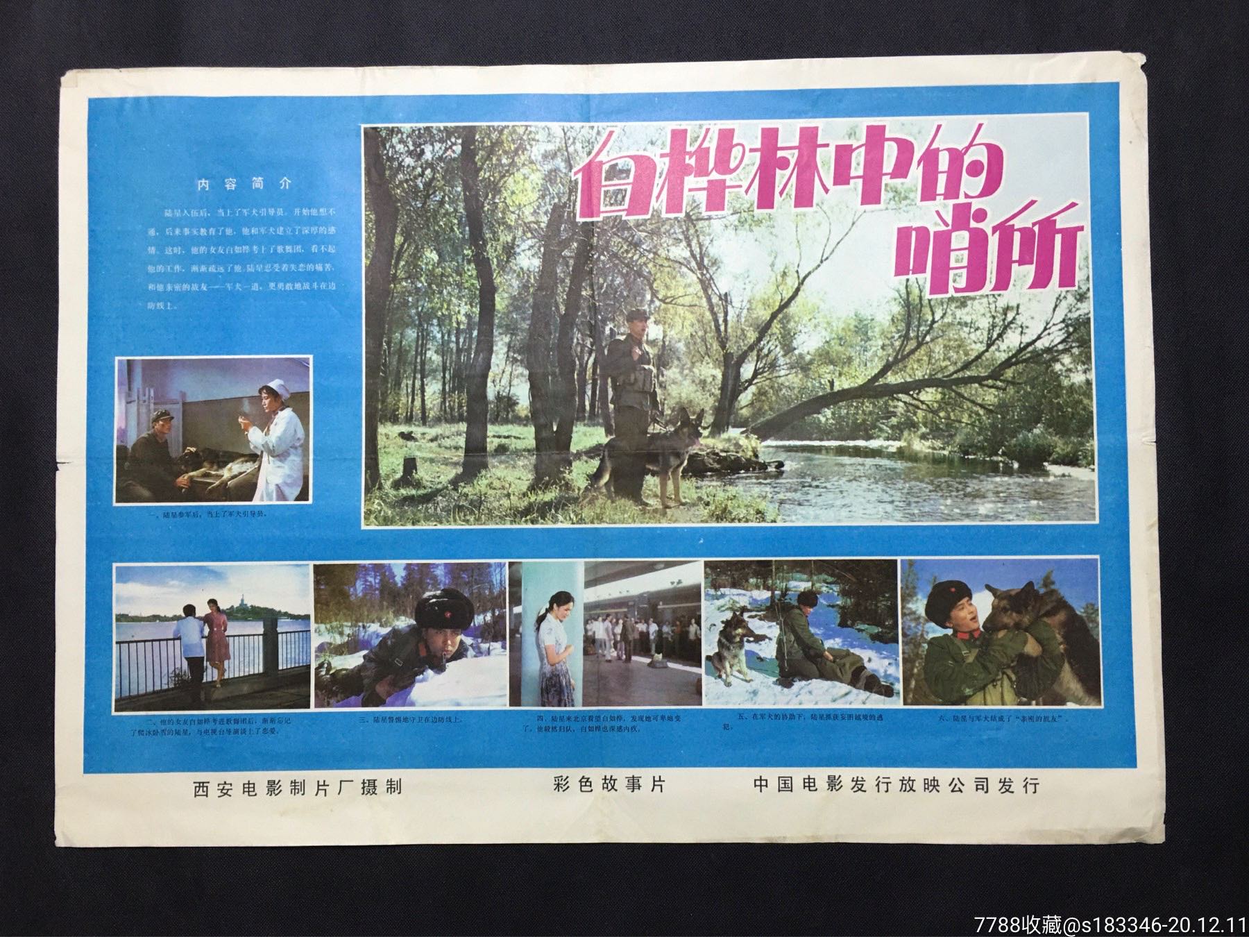 白桦林中的哨所_电影海报_江小渔【7788收藏__收藏热线】