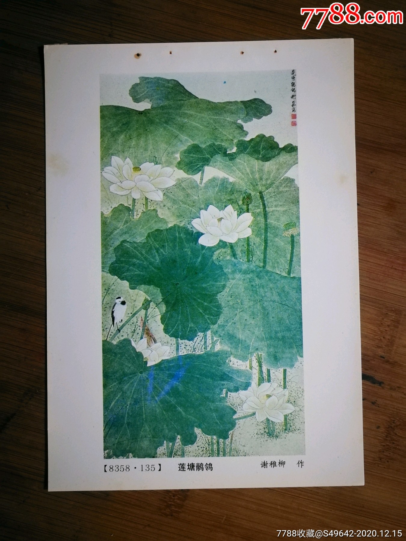 怀旧年画缩样本莲塘鹡鸰谢稚柳作1983年人美版34开