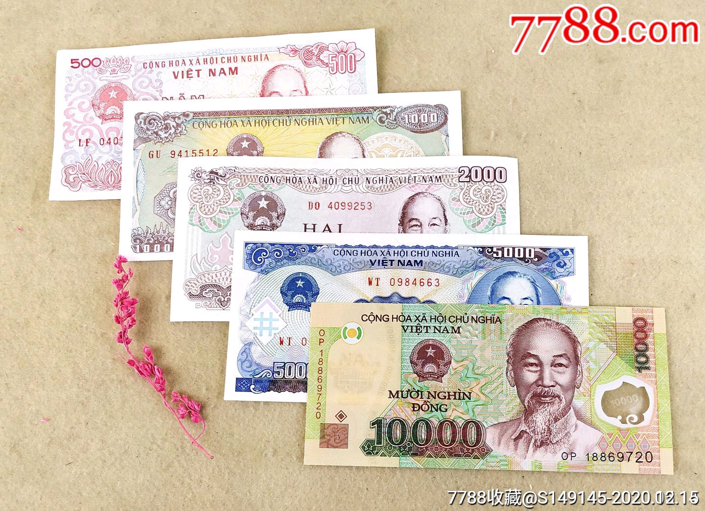 包邮越南盾一套5张50010002000500010000元