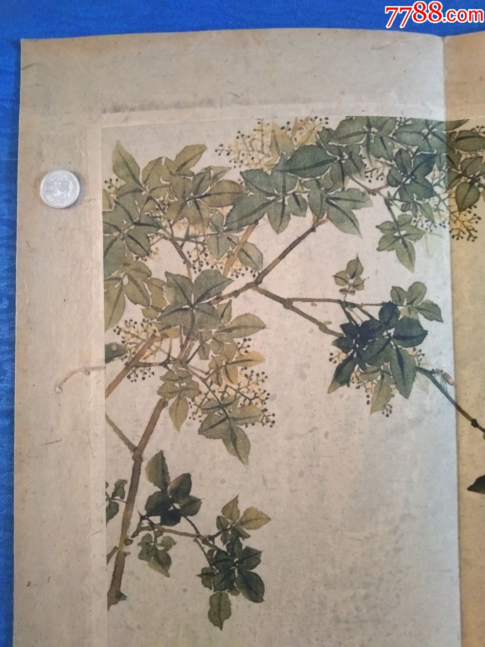 清代画家居巢国画精品印刷品绢布写意花鸟画(居巢居廉兄弟,开岭南画派