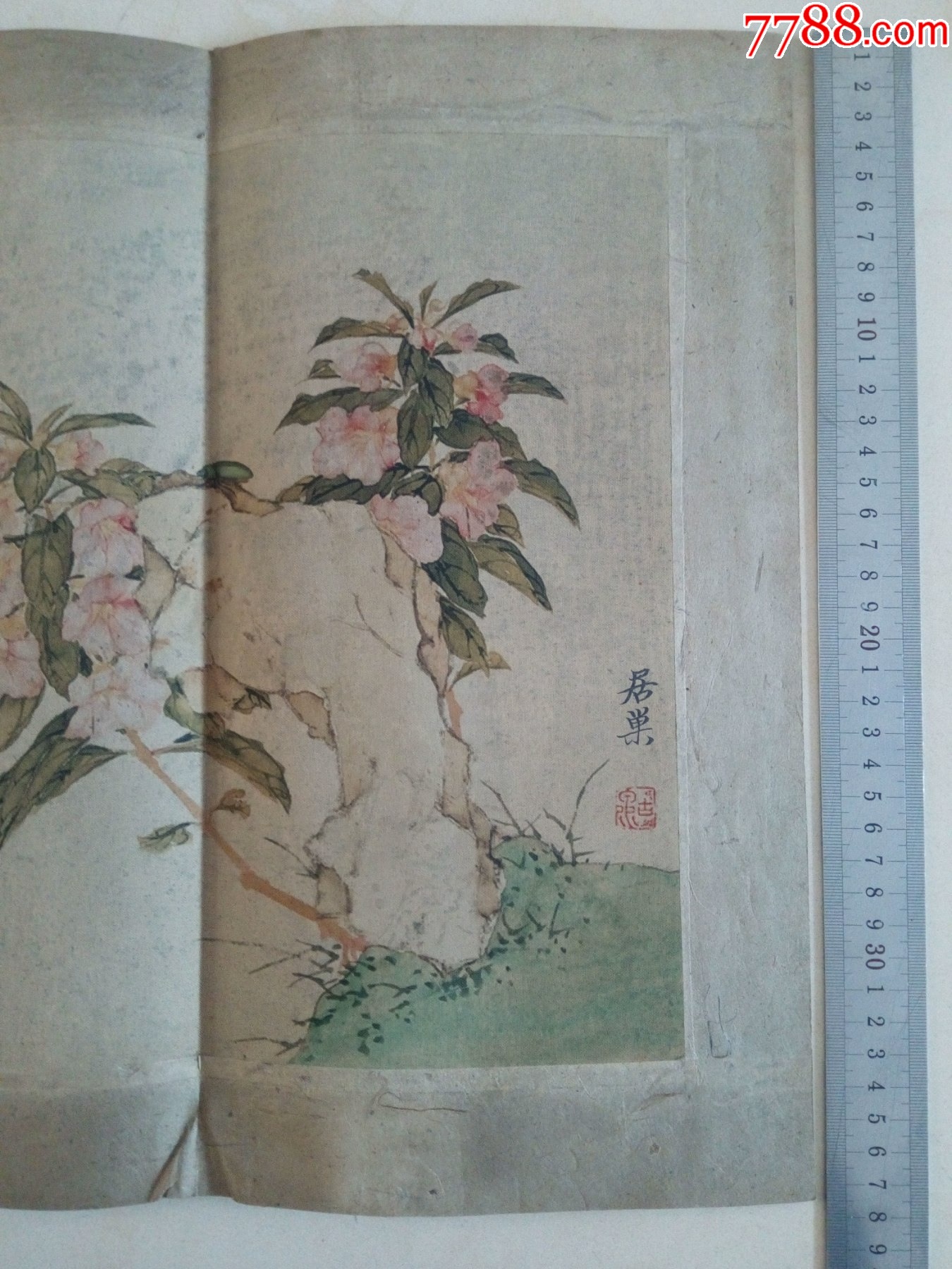 清代画家居巢国画精品印刷品绢布写意工笔花鸟画(居巢居廉兄弟,开岭南