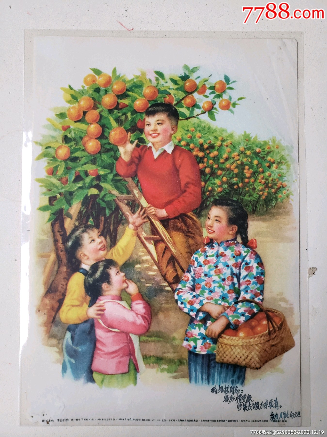 柑子丰收_年画/宣传画_图片收藏_回收价格_7788手表收藏