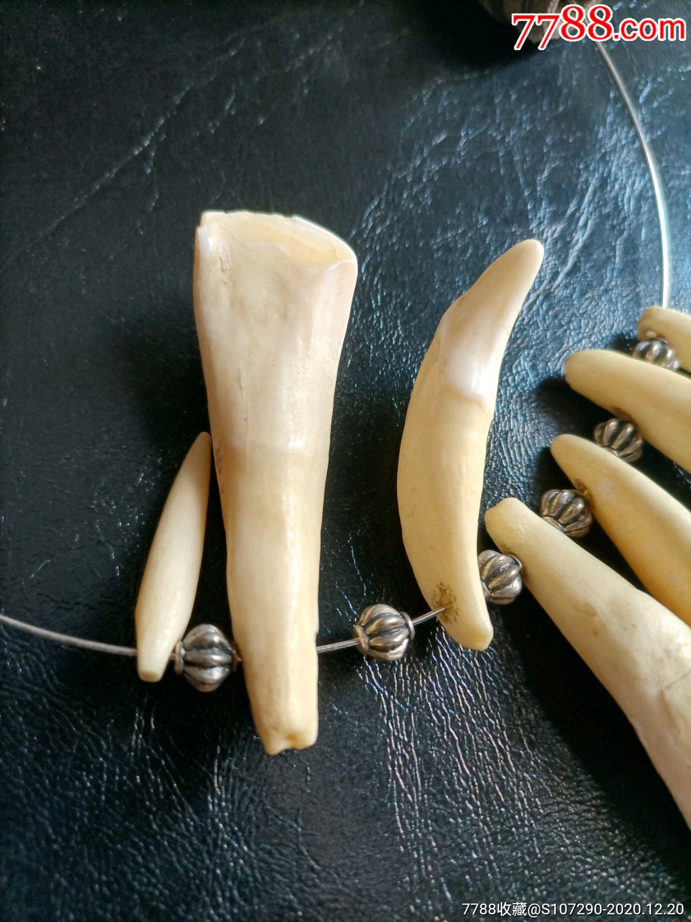牙挂饰_牙制饰品_图片价格_收藏交流_7788门票