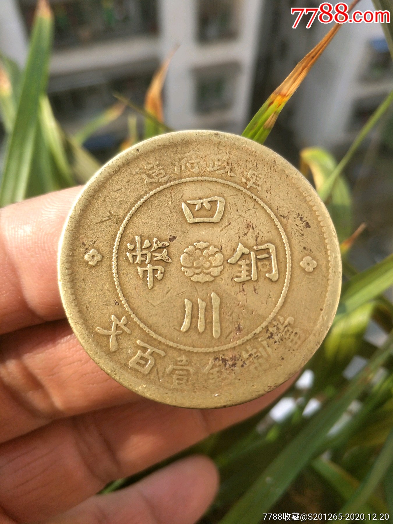 造黄铜元极美品《四川铜币》当制钱一百文-铜元/机制铜币-7788钱币网