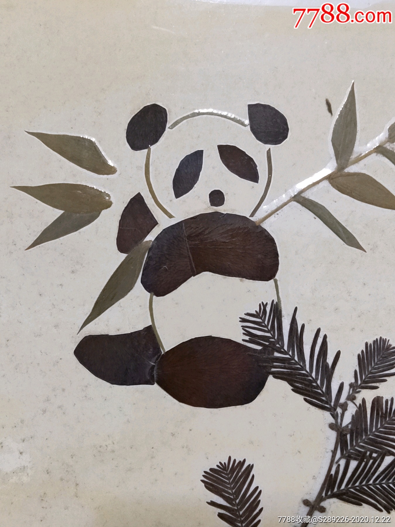早期树叶拼贴画(熊猫)