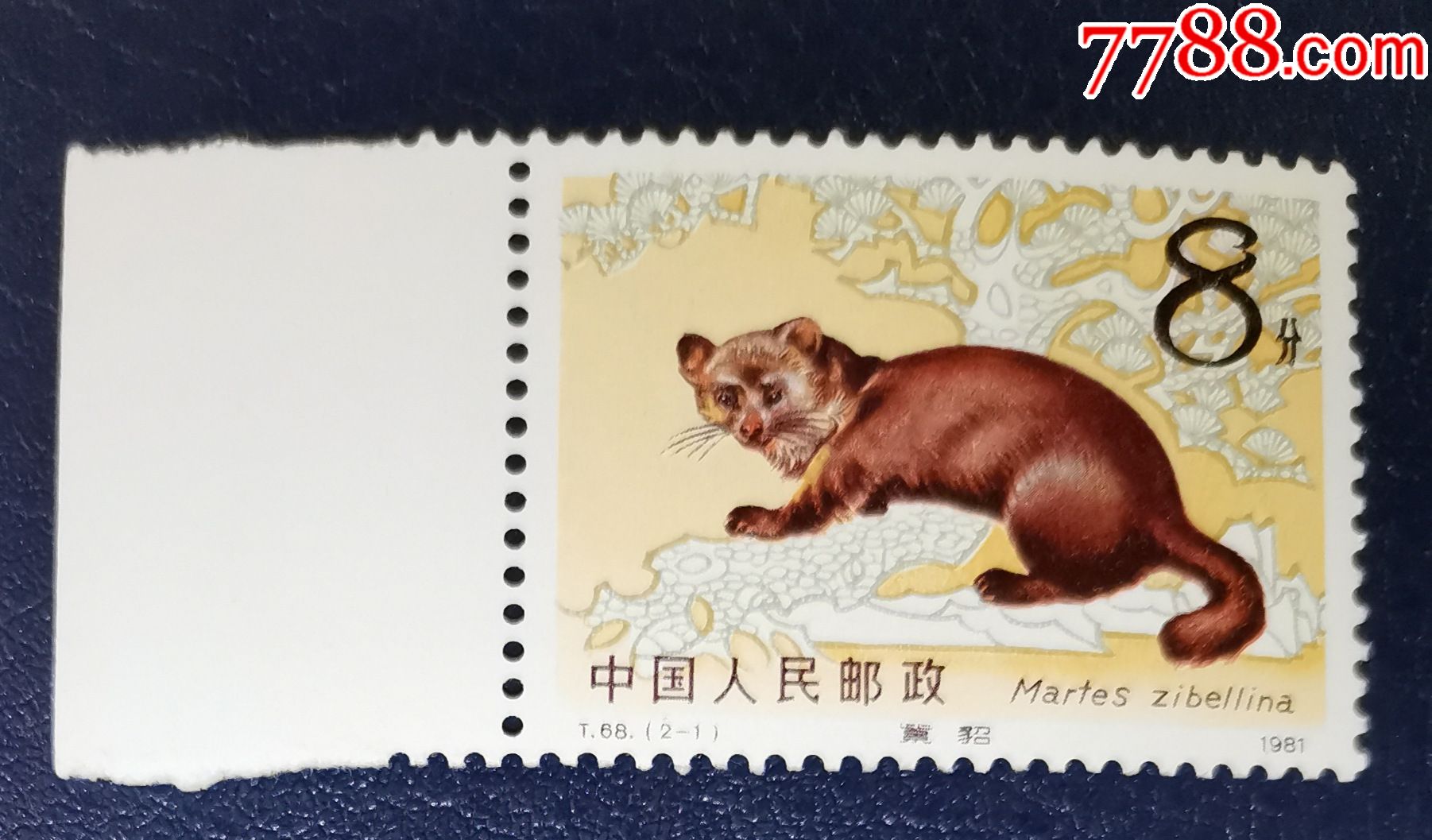 t68紫貂-1,带左边-新中国邮票-7788集邮网