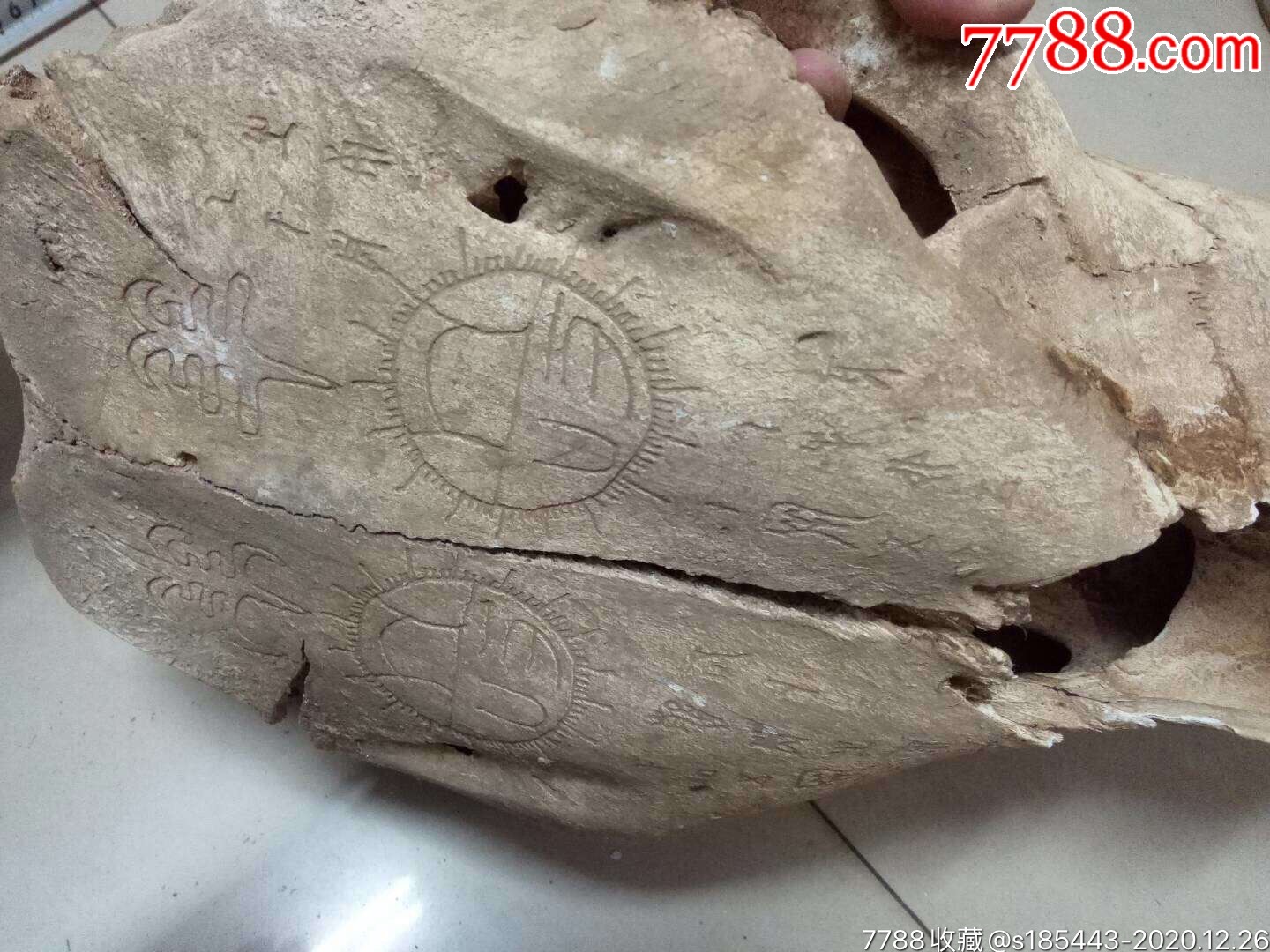 刻有字的羊头骨_骨雕_秋月轩古玩【7788集卡网】